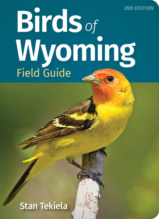 Birds of Wyoming Field Guide