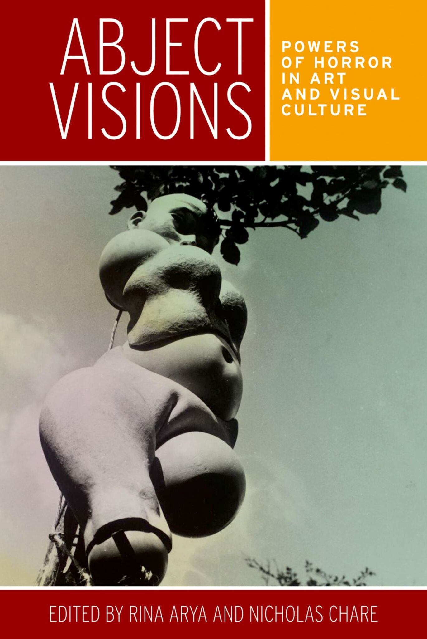 Cover image for Abject visions ISBN 9780719096297