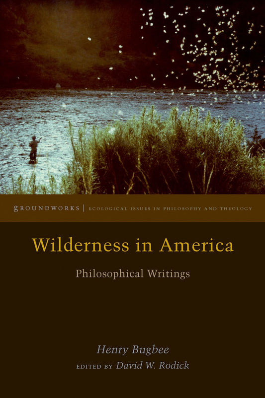 Wilderness in America