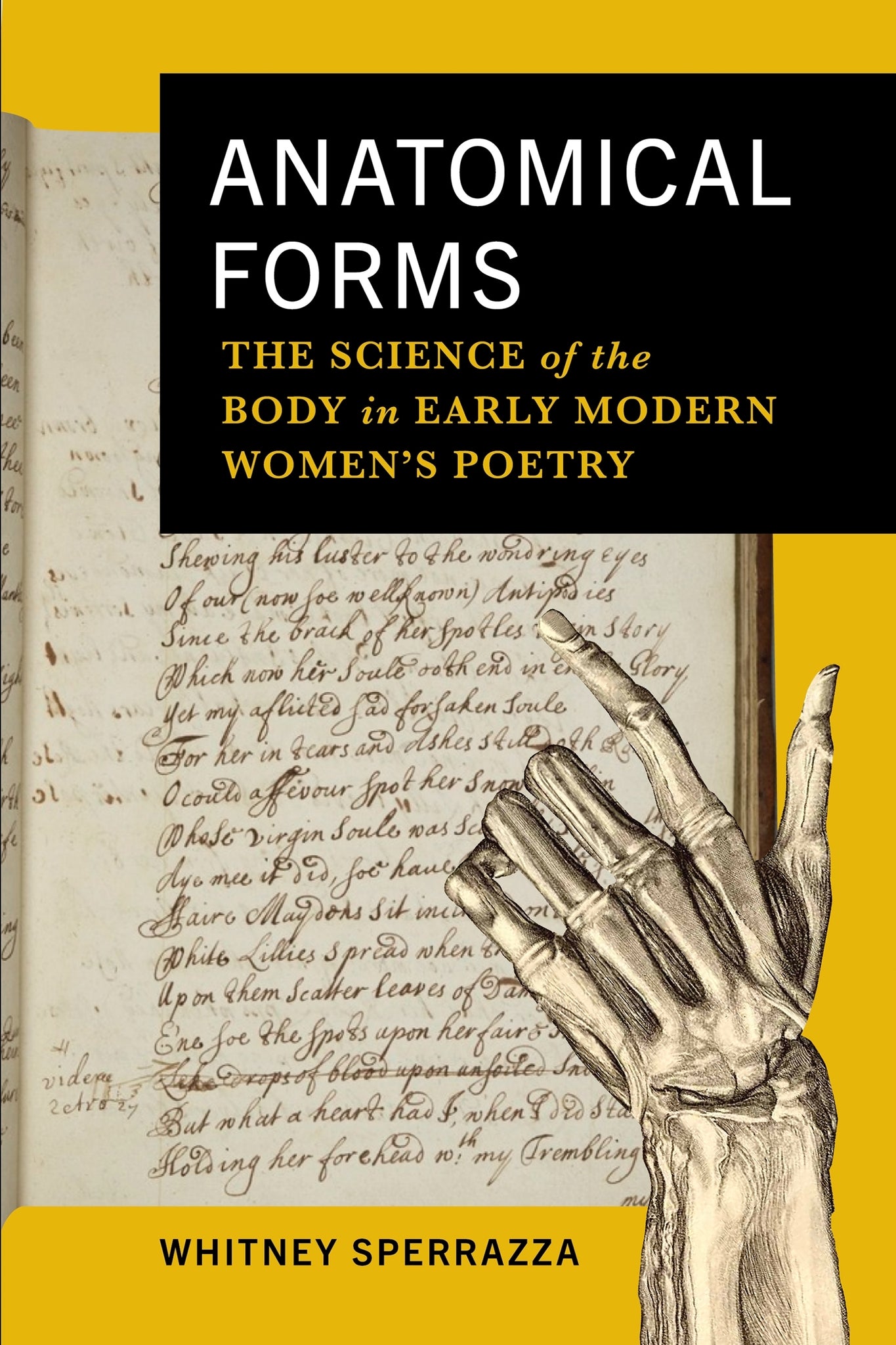 Anatomical Forms