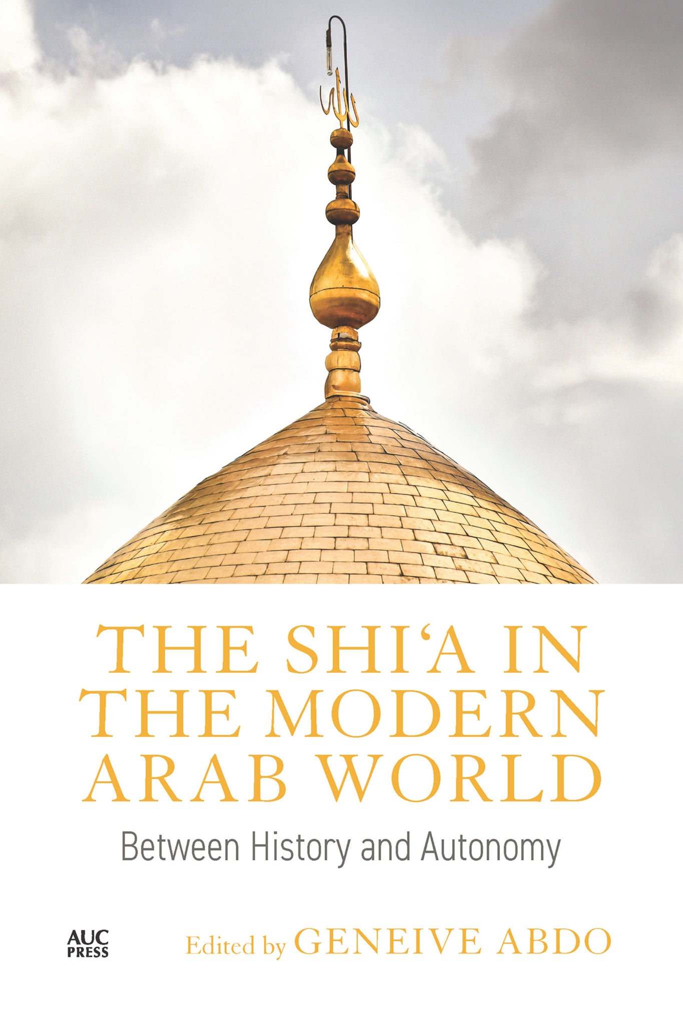 The Shi'a in the Modern Arab World