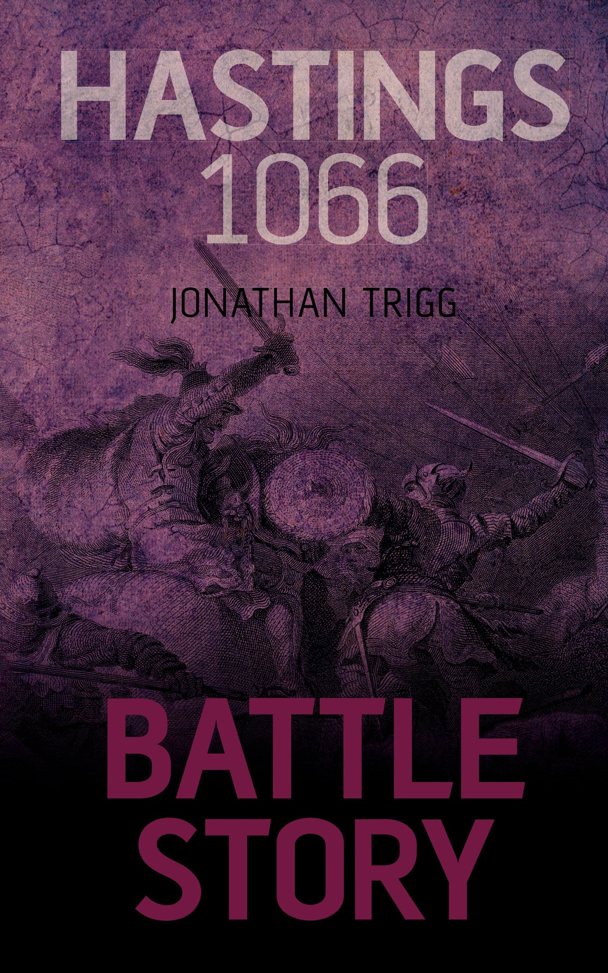 Cover image for Hastings 1066 ISBN 9781459733992
