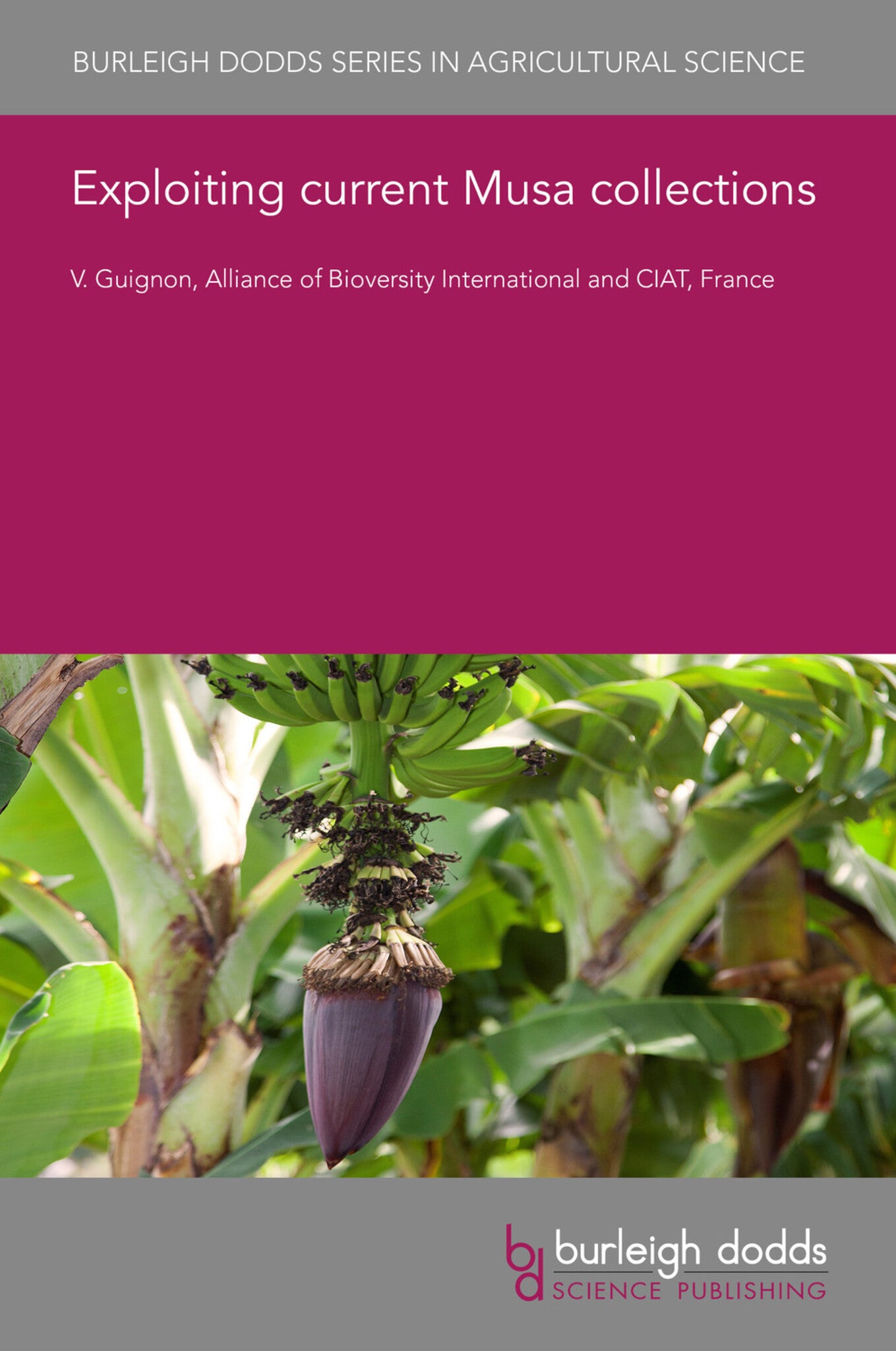 Cover image for Exploiting current Musa collections ISBN 9781786769398