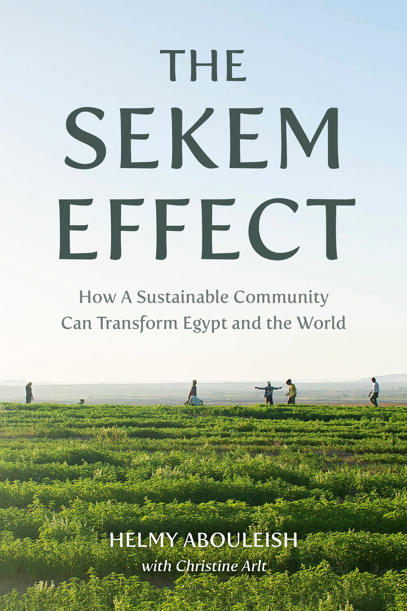 Cover image for The Sekem Effect ISBN 9781782509431