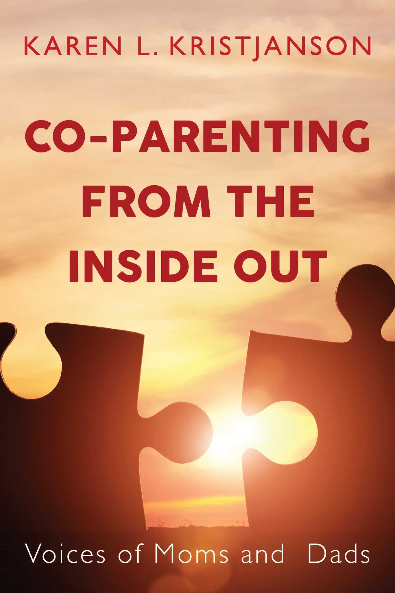 Cover image for Co-Parenting from the Inside Out ISBN 9781459740570