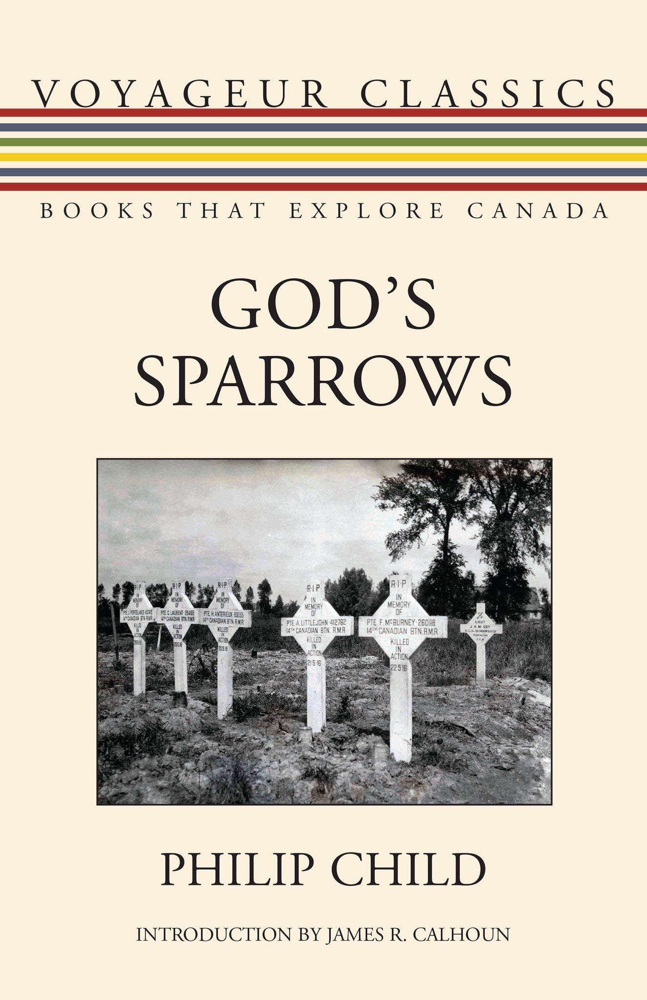 Cover image for God's Sparrows ISBN 9781459736436