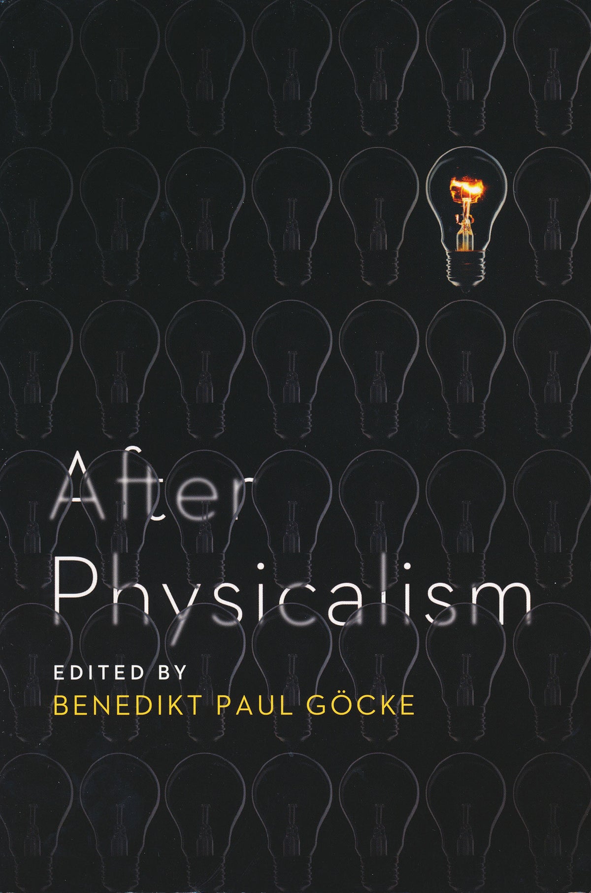 Cover image for After Physicalism ISBN 9780268030001