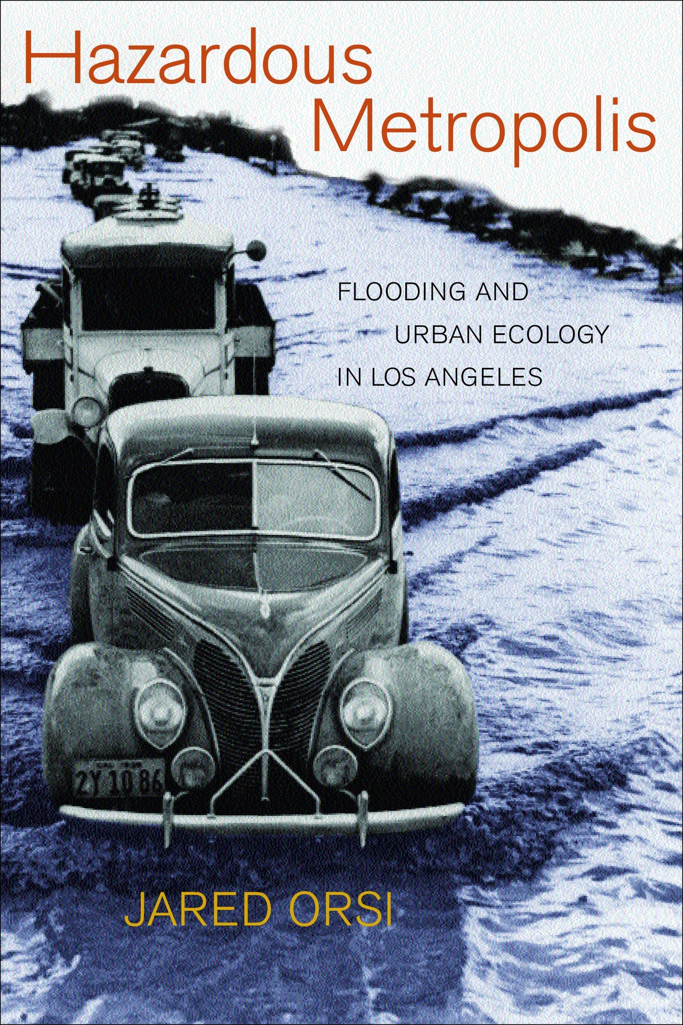 Cover image for Hazardous Metropolis ISBN 9780520930087