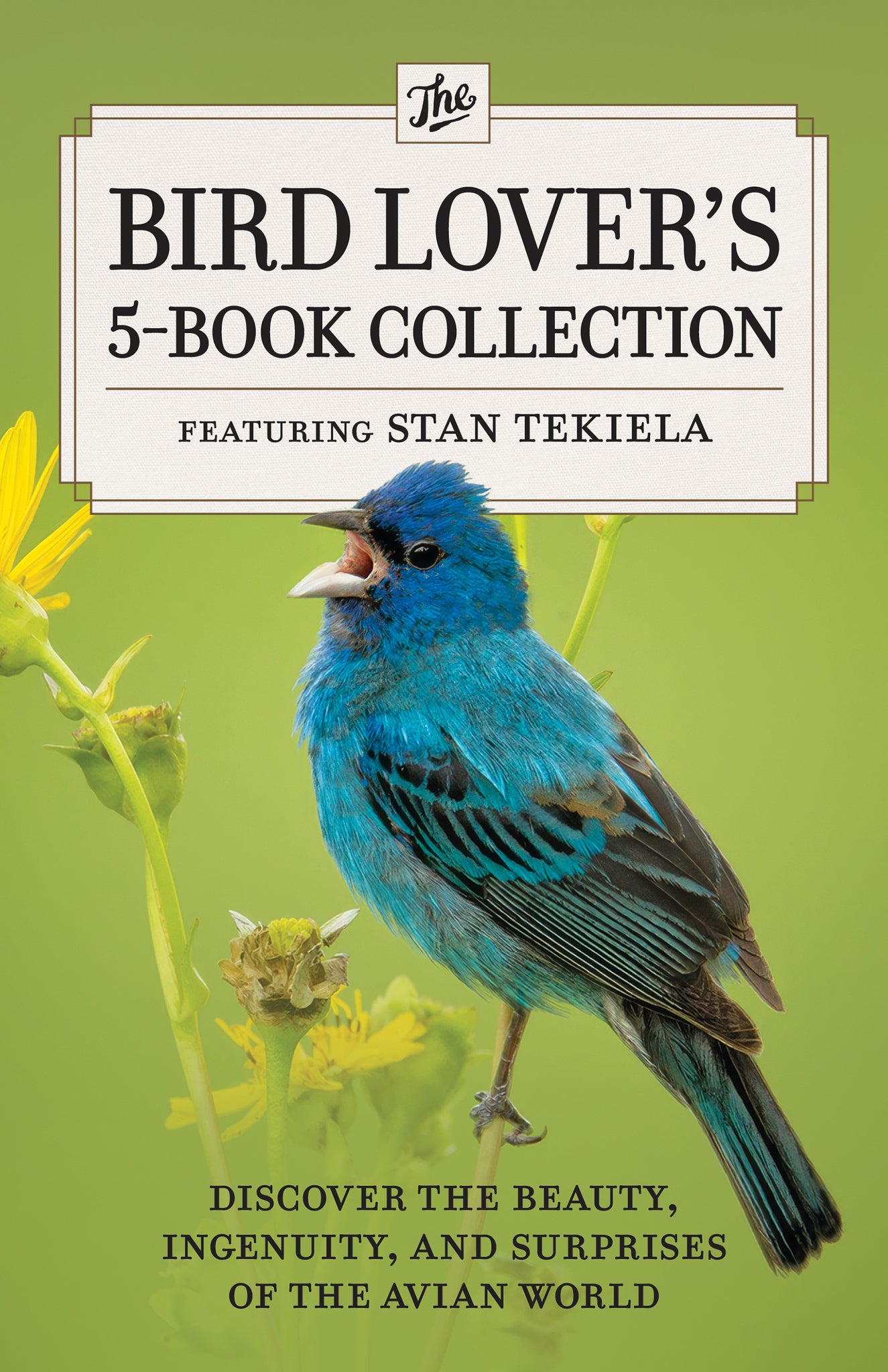 Cover image for The Bird Lover’s 5-Book Collection ISBN 9781647557874