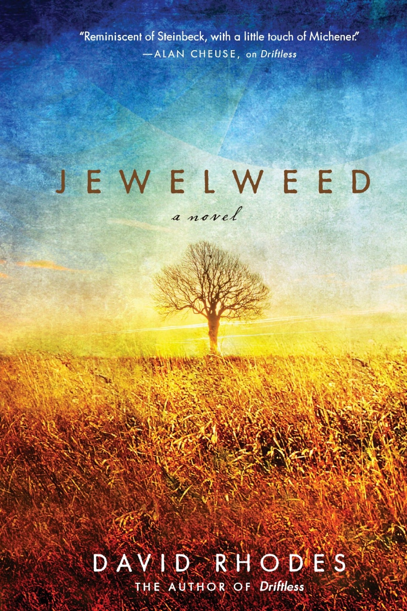 Cover image for Jewelweed ISBN 9781571311061