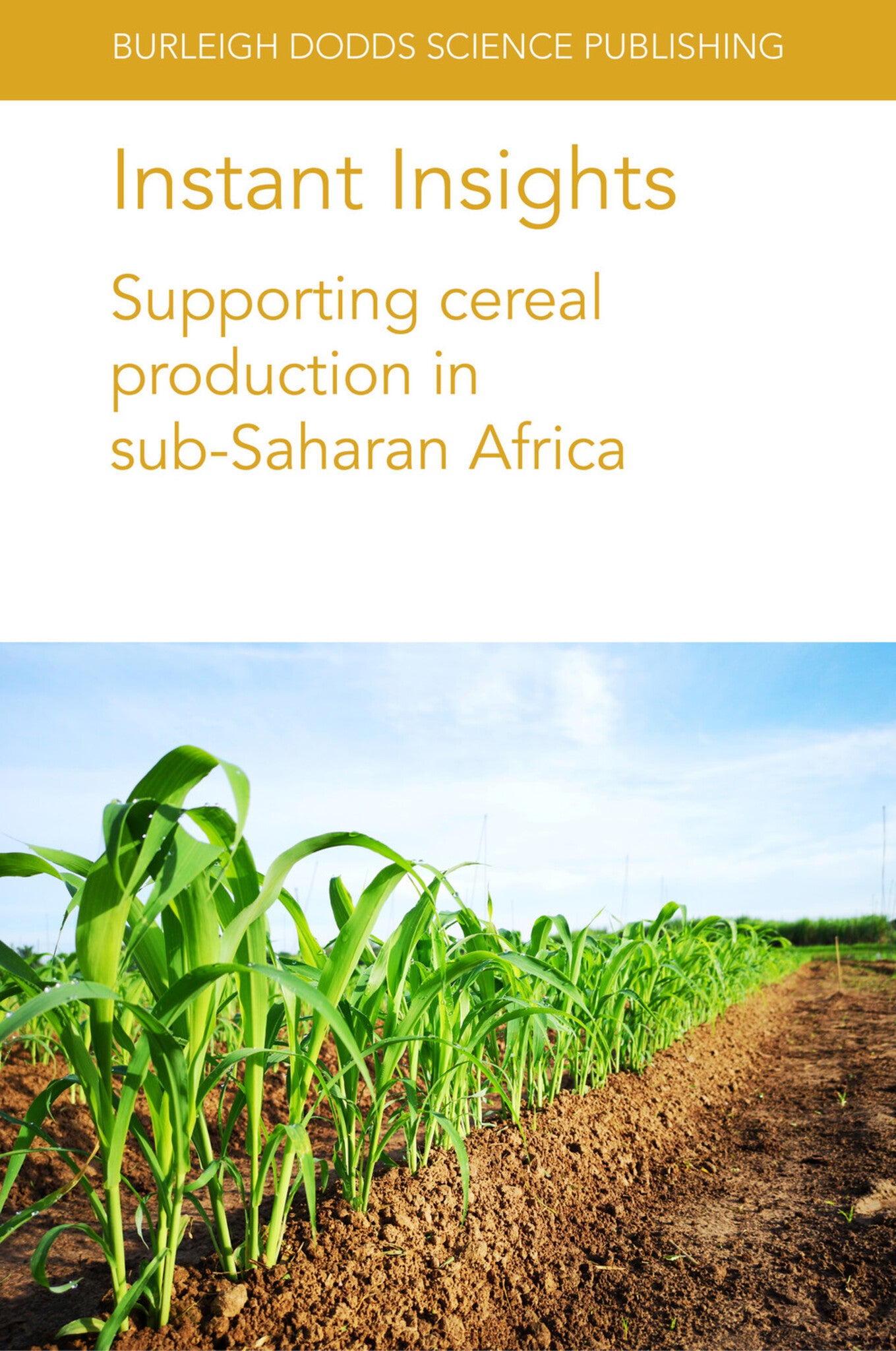 Cover image for Instant Insights: Supporting cereal production in sub-Saharan Africa ISBN 9781801460804