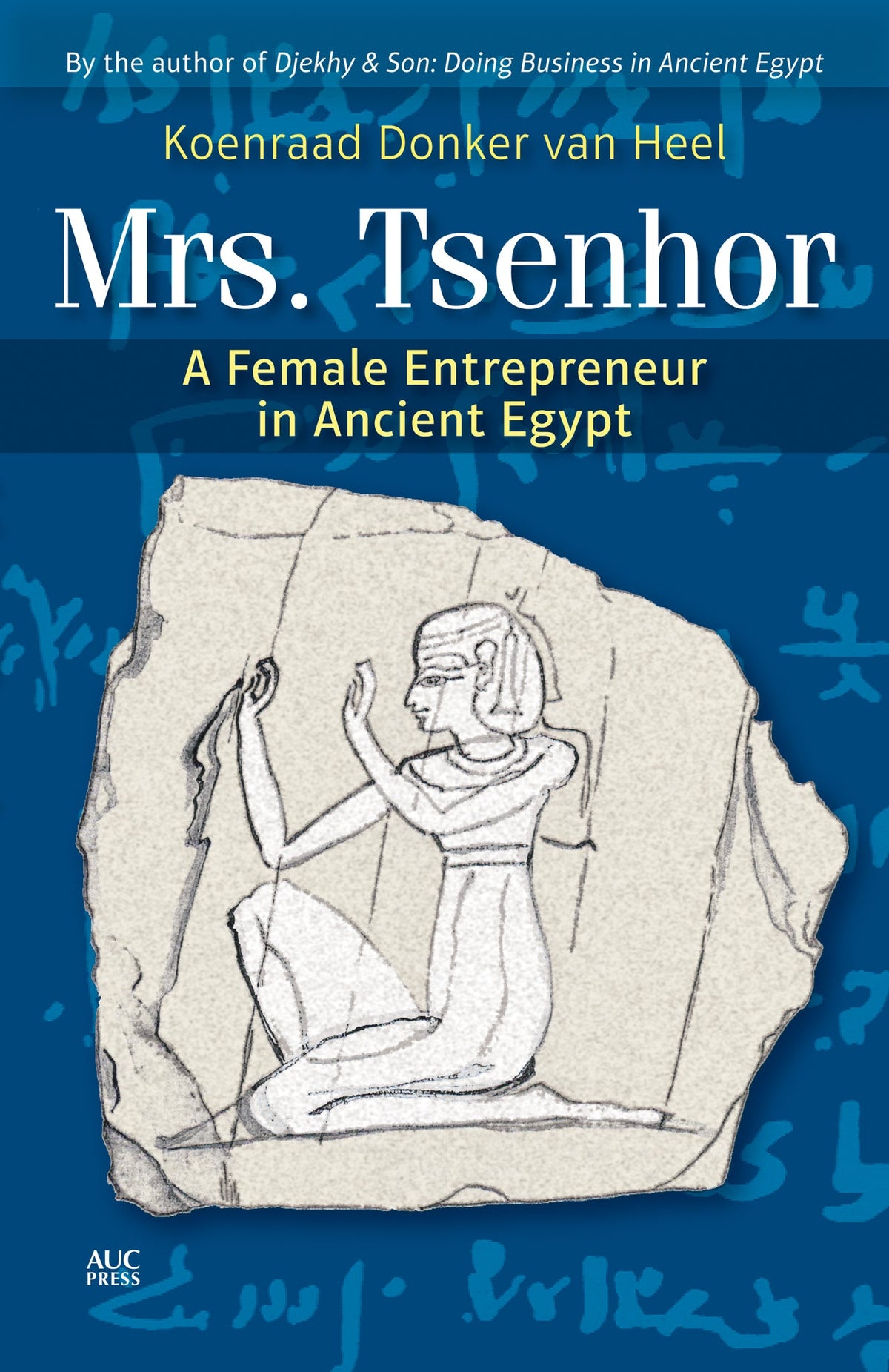 Cover image for Mrs. Tsenhor: ISBN 9781617975691