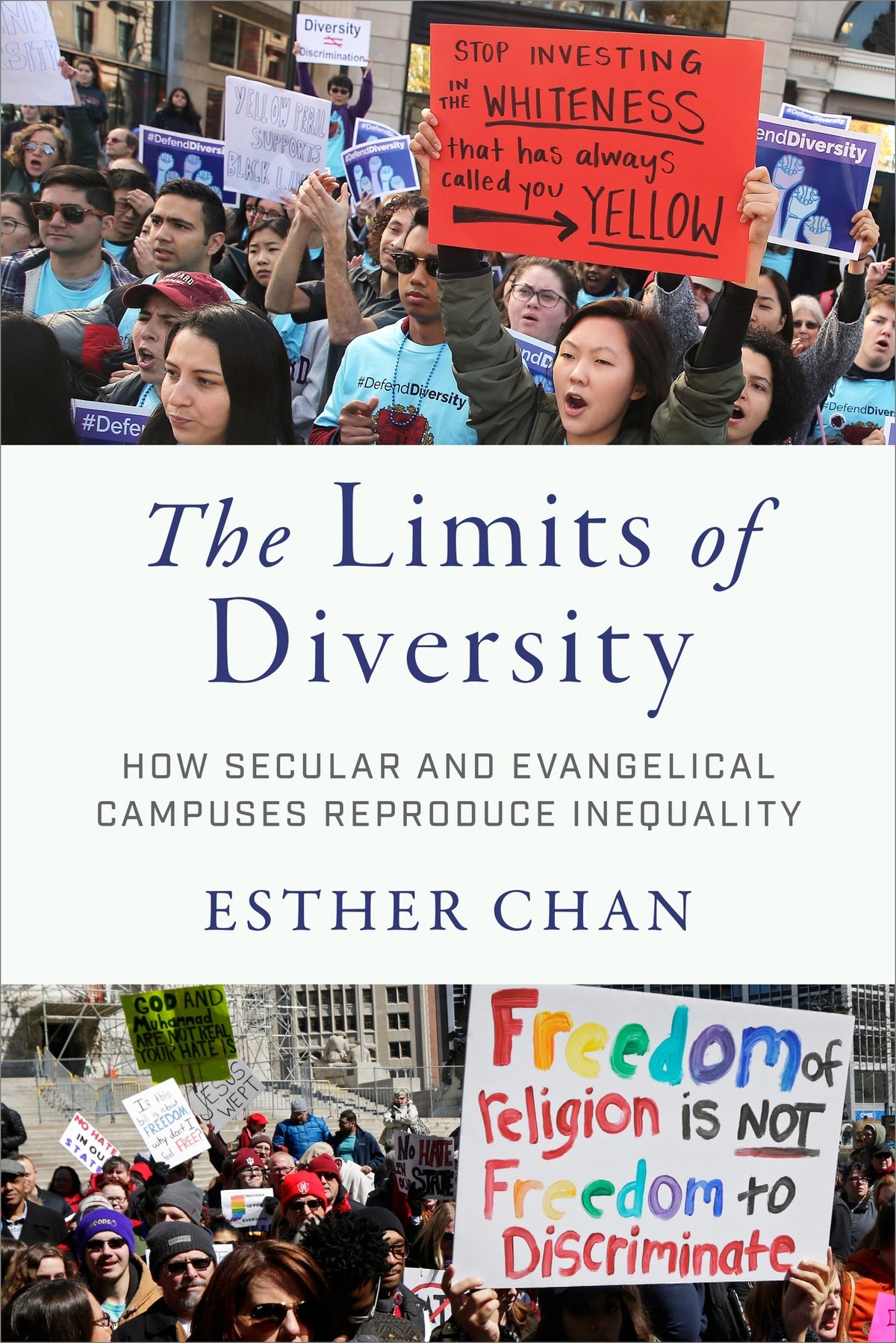 Cover image for The Limits of Diversity ISBN 9781479834747