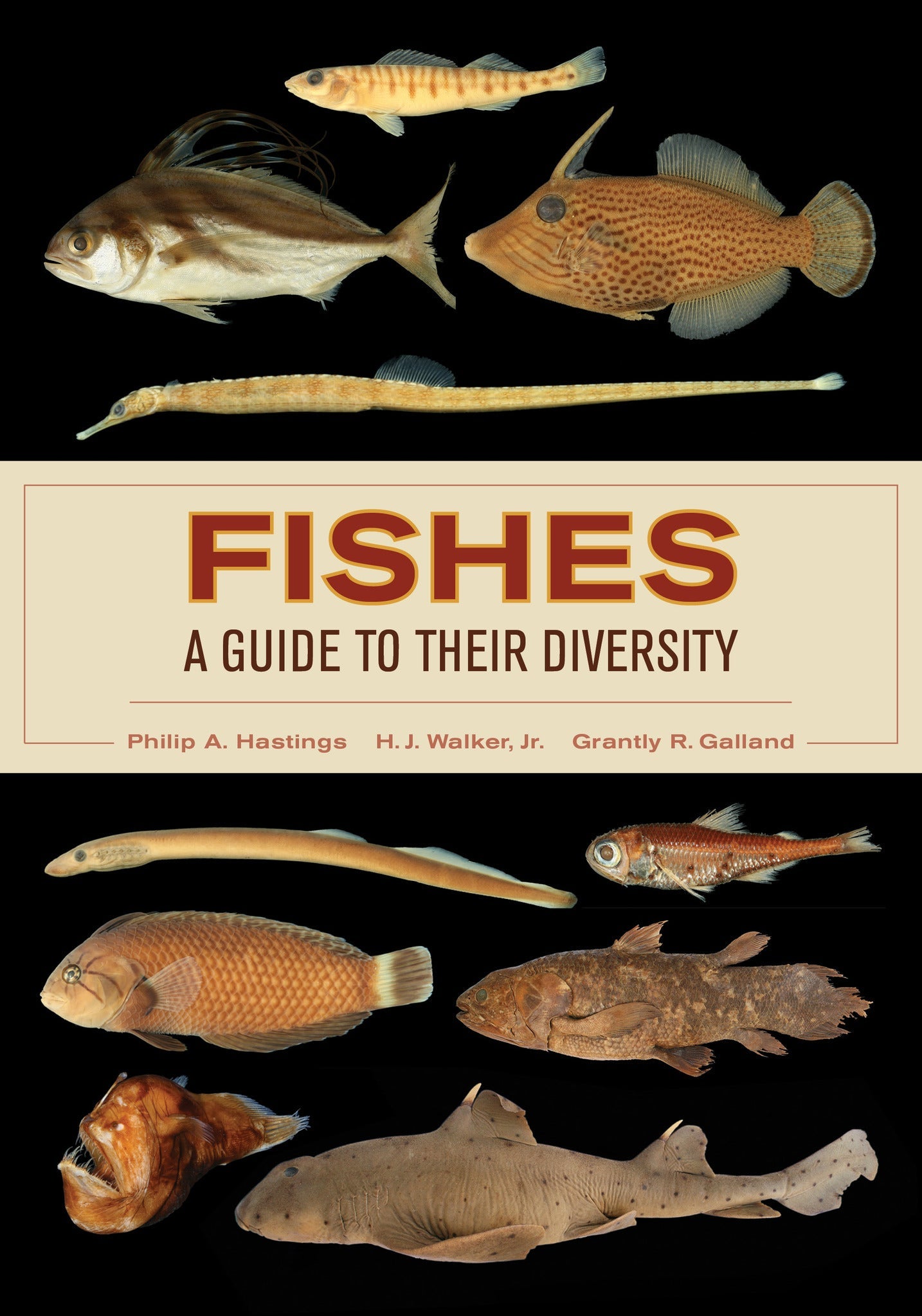 Cover image for Fishes: A Guide to Their Diversity ISBN 9780520959330