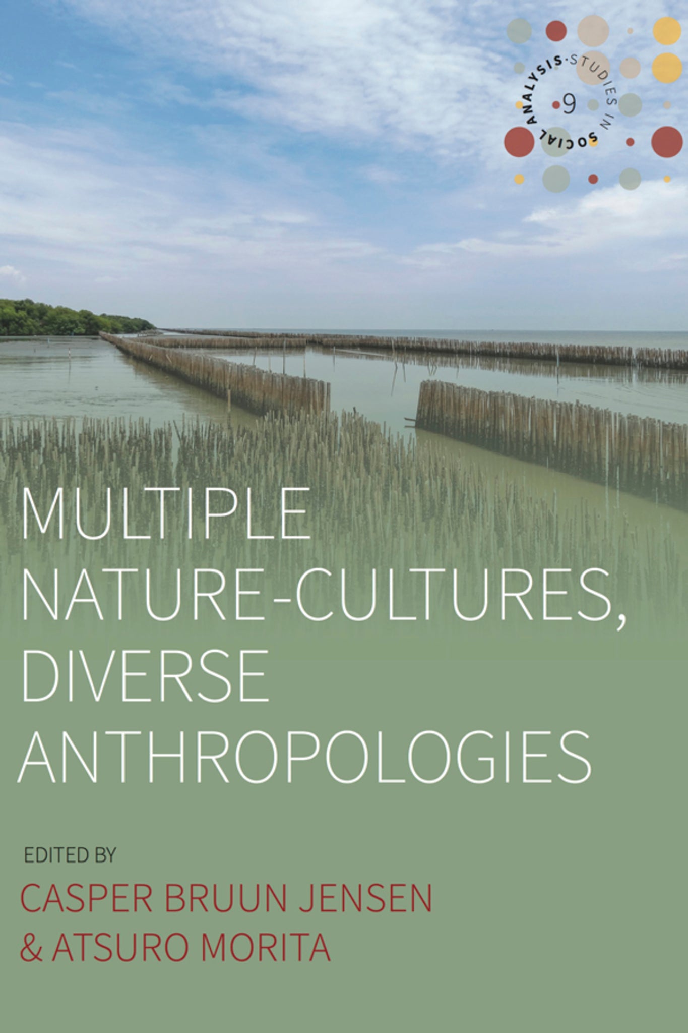 Multiple Nature-Cultures, Diverse Anthropologies