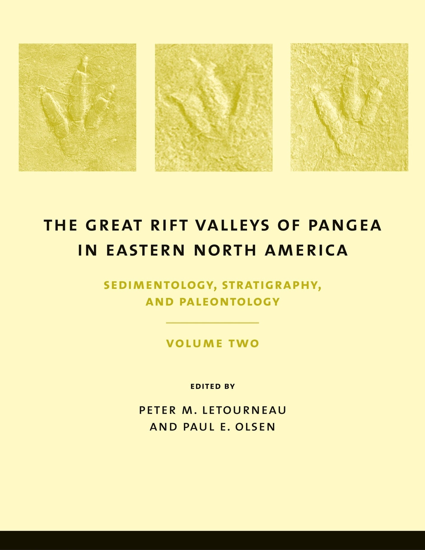 Cover image for The Great Rift Valleys of Pangea in Eastern North America ISBN 9780231111621