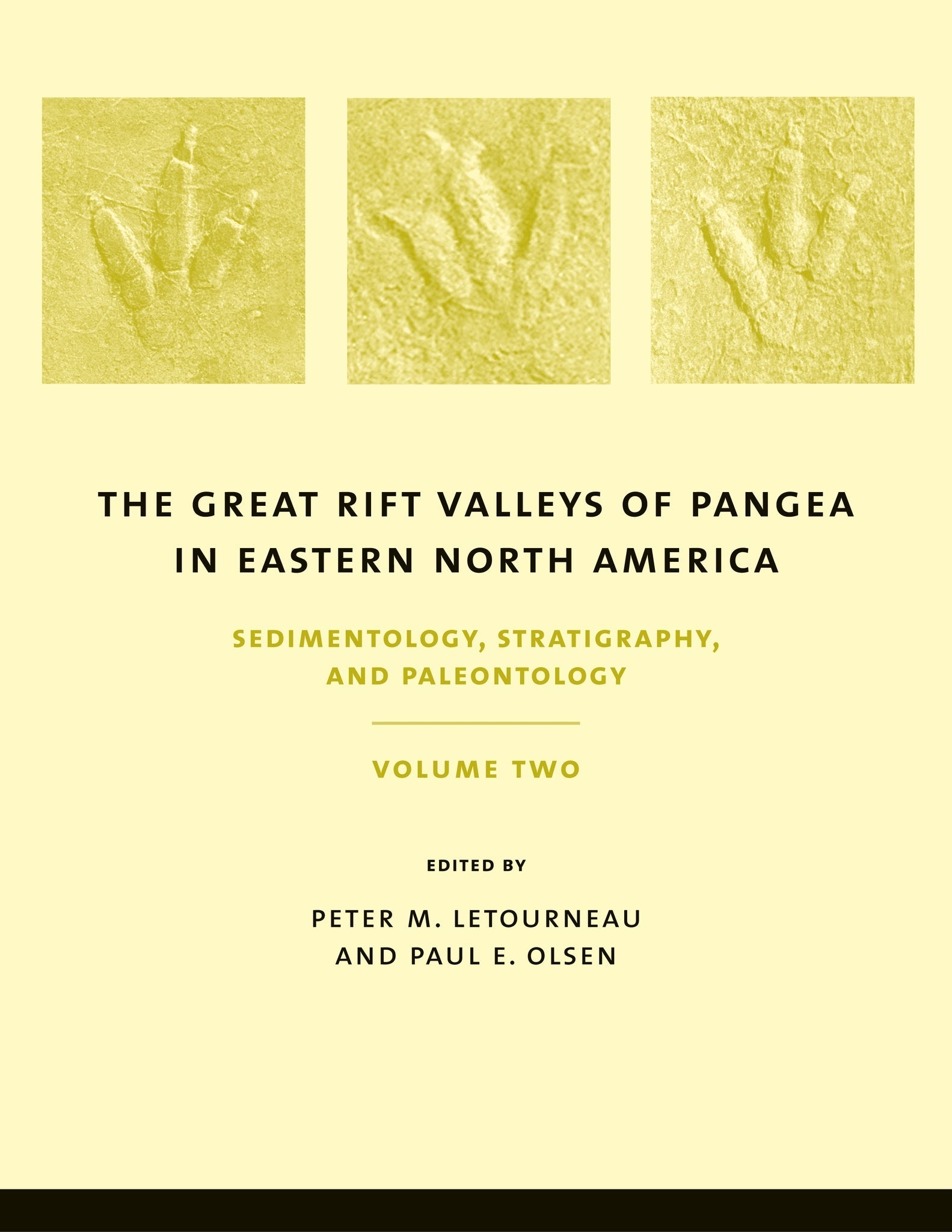 Cover image for The Great Rift Valleys of Pangea in Eastern North America ISBN 9780231111621