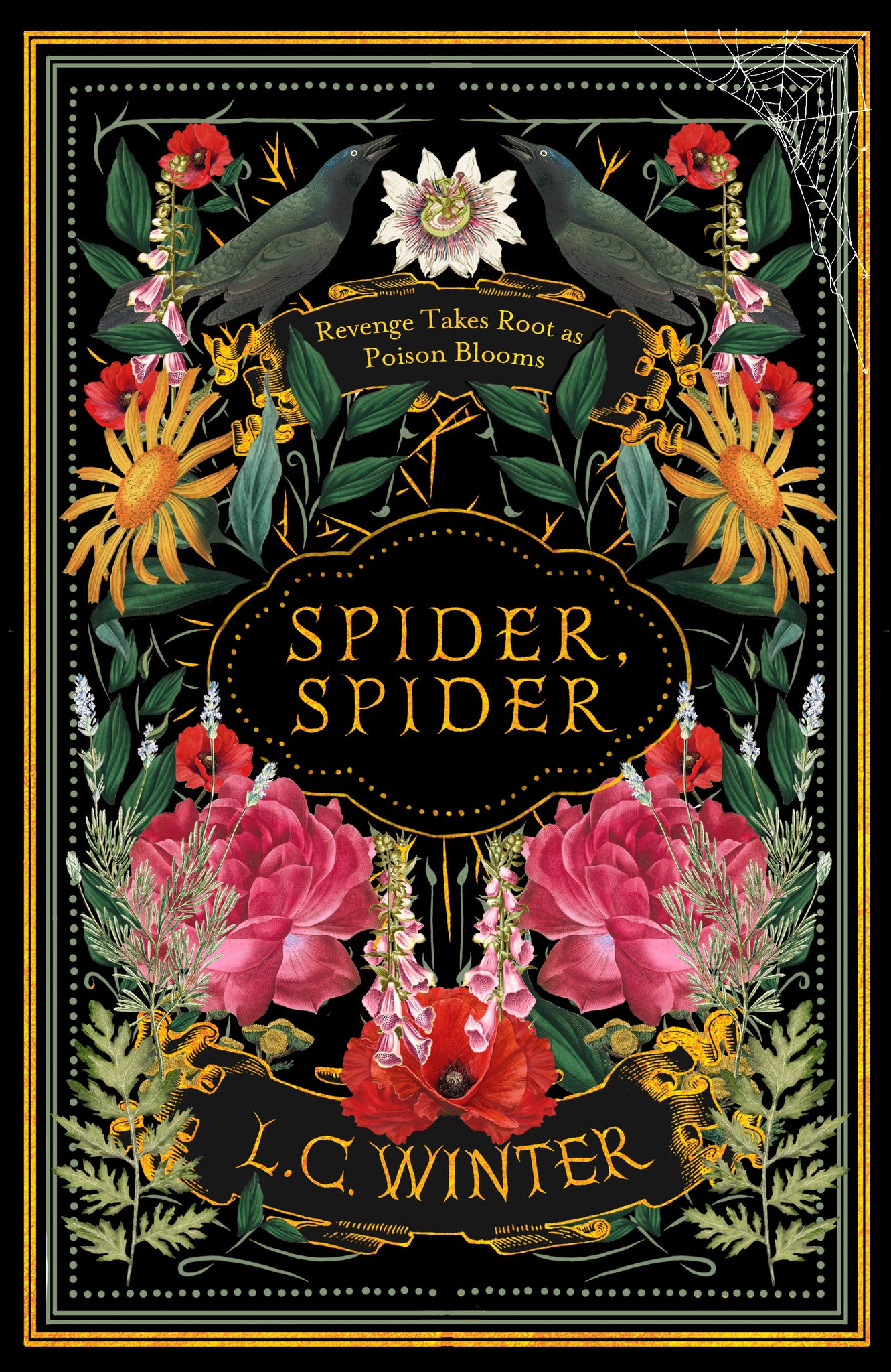 Spider, Spider