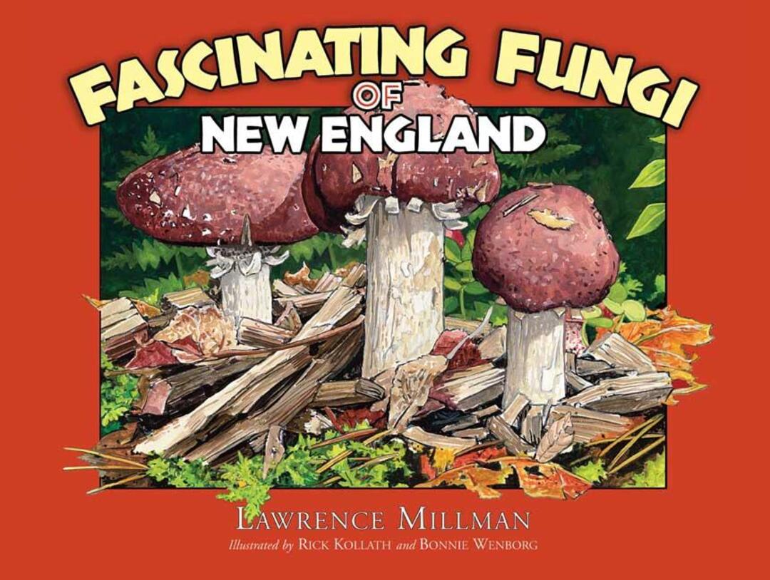 Cover image for Fascinating Fungi of New England ISBN 9781936571017
