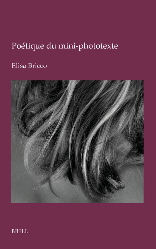 Poétique du mini-phototexte