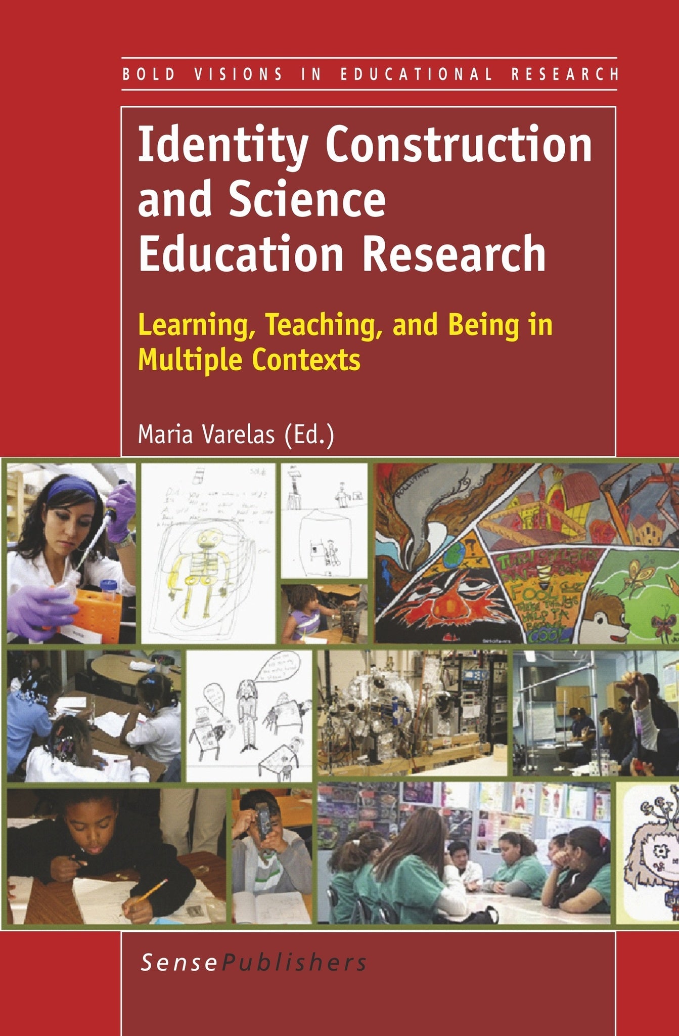 Cover image for Identity Construction and Science Education Research ISBN 9789462090415