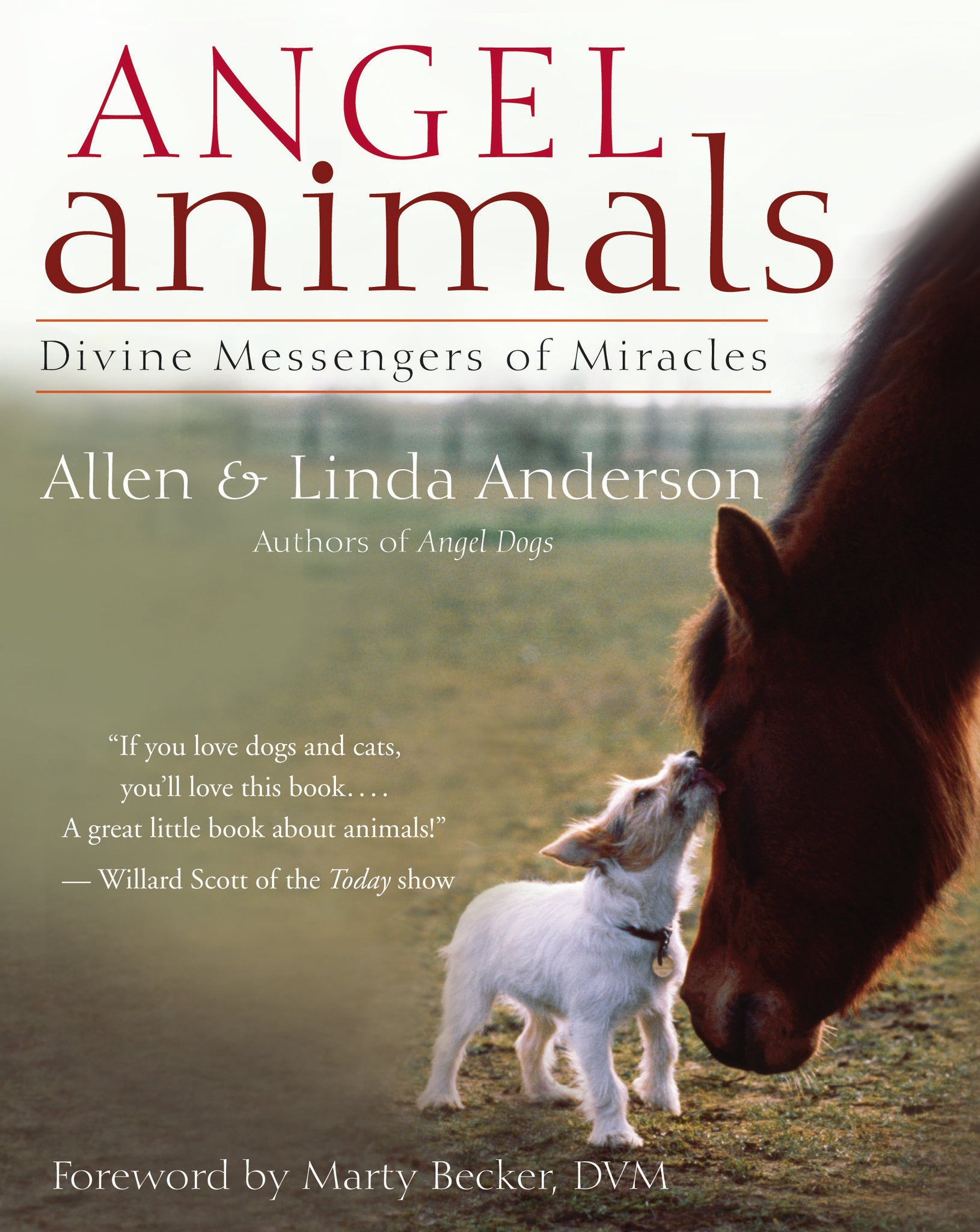 Angel Animals
