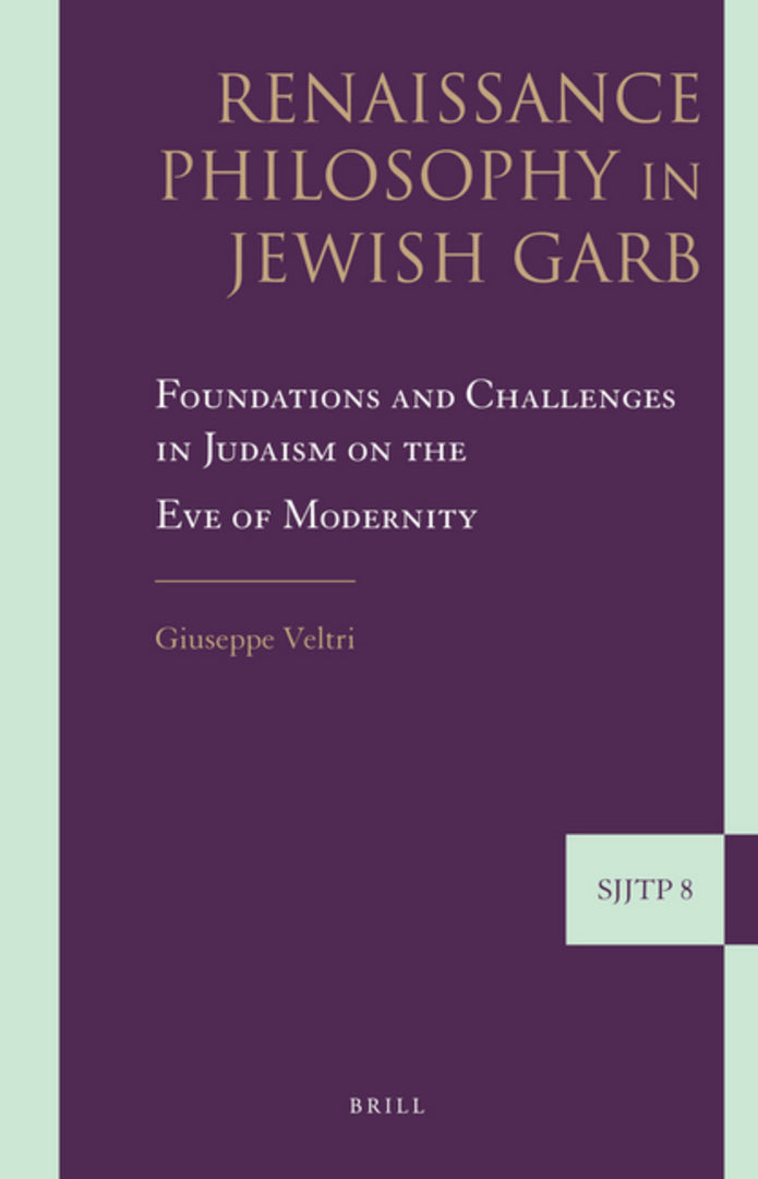 Cover image for Renaissance Philosophy in Jewish Garb ISBN 9789004171961