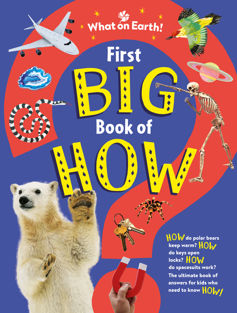 Cover image for First Big Book of How ISBN 9781804661192