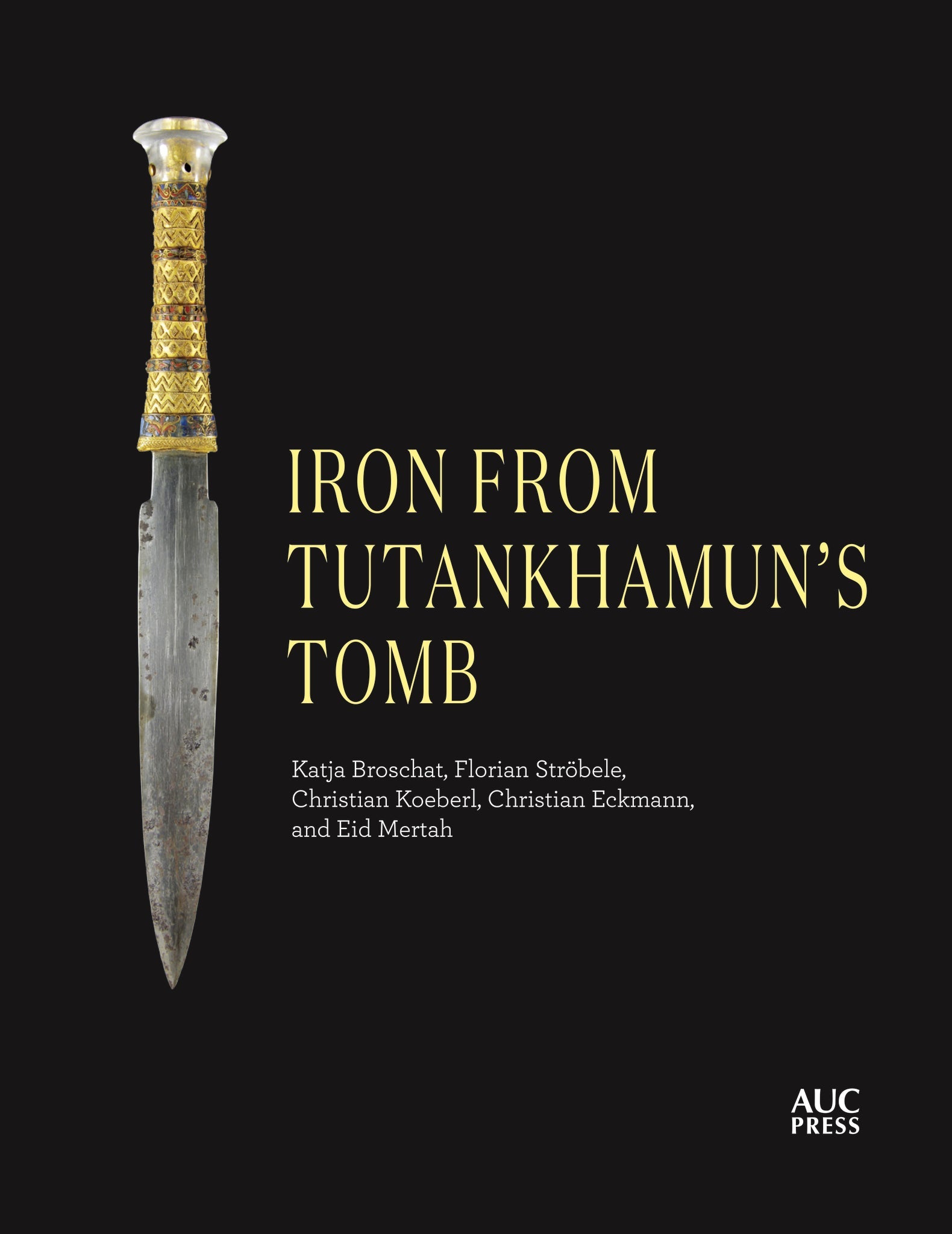 Cover image for Iron from Tutankhamun's Tomb ISBN 9781649030320