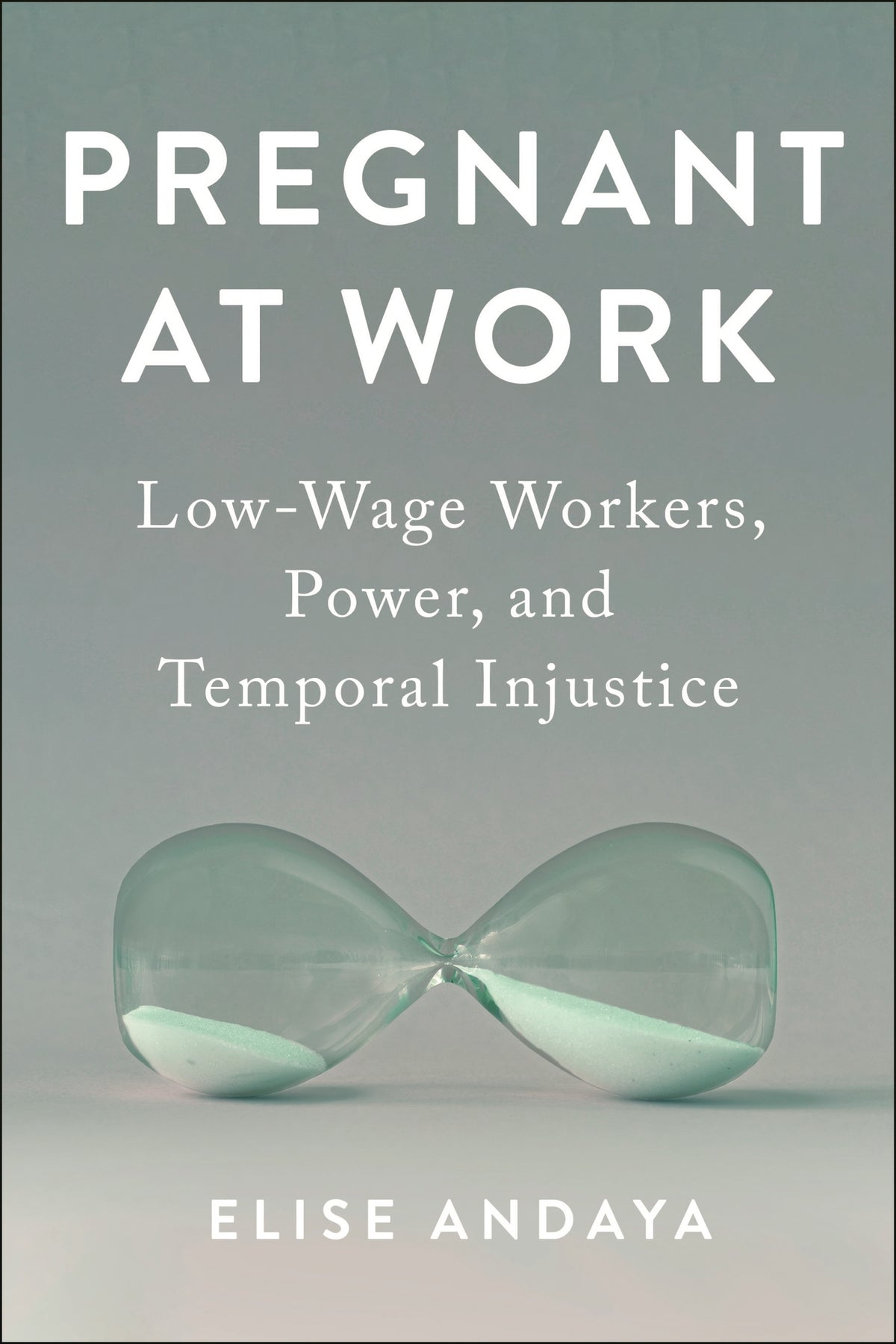 Cover image for Pregnant at Work ISBN 9781479817597