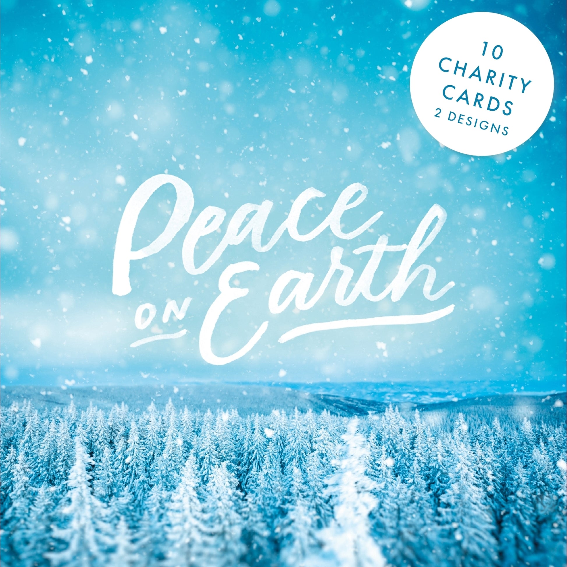 SPCK Charity Christmas Cards, Pack of 10, 2 Designs