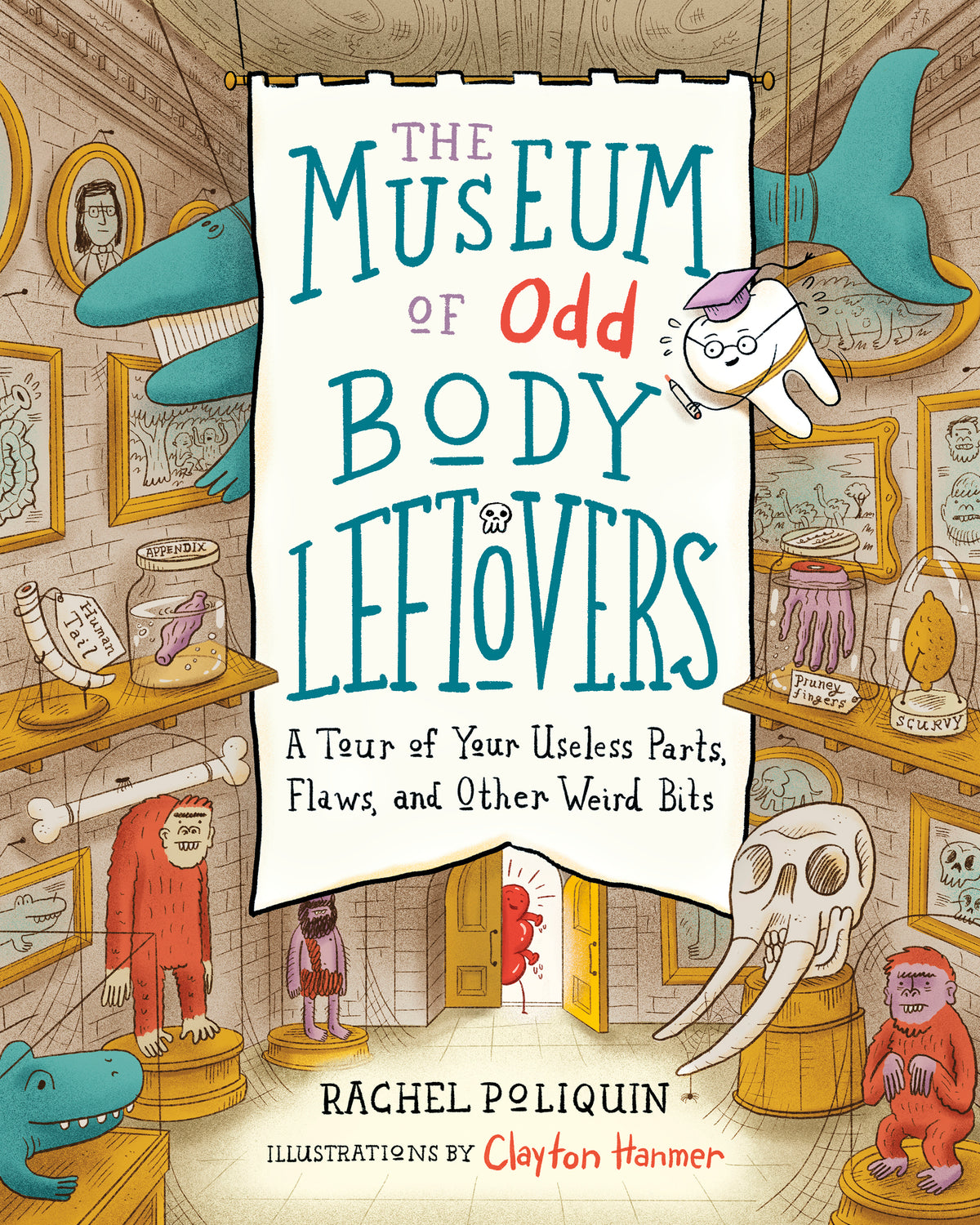 Cover image for The Museum of Odd Body Leftovers ISBN 9781771647465