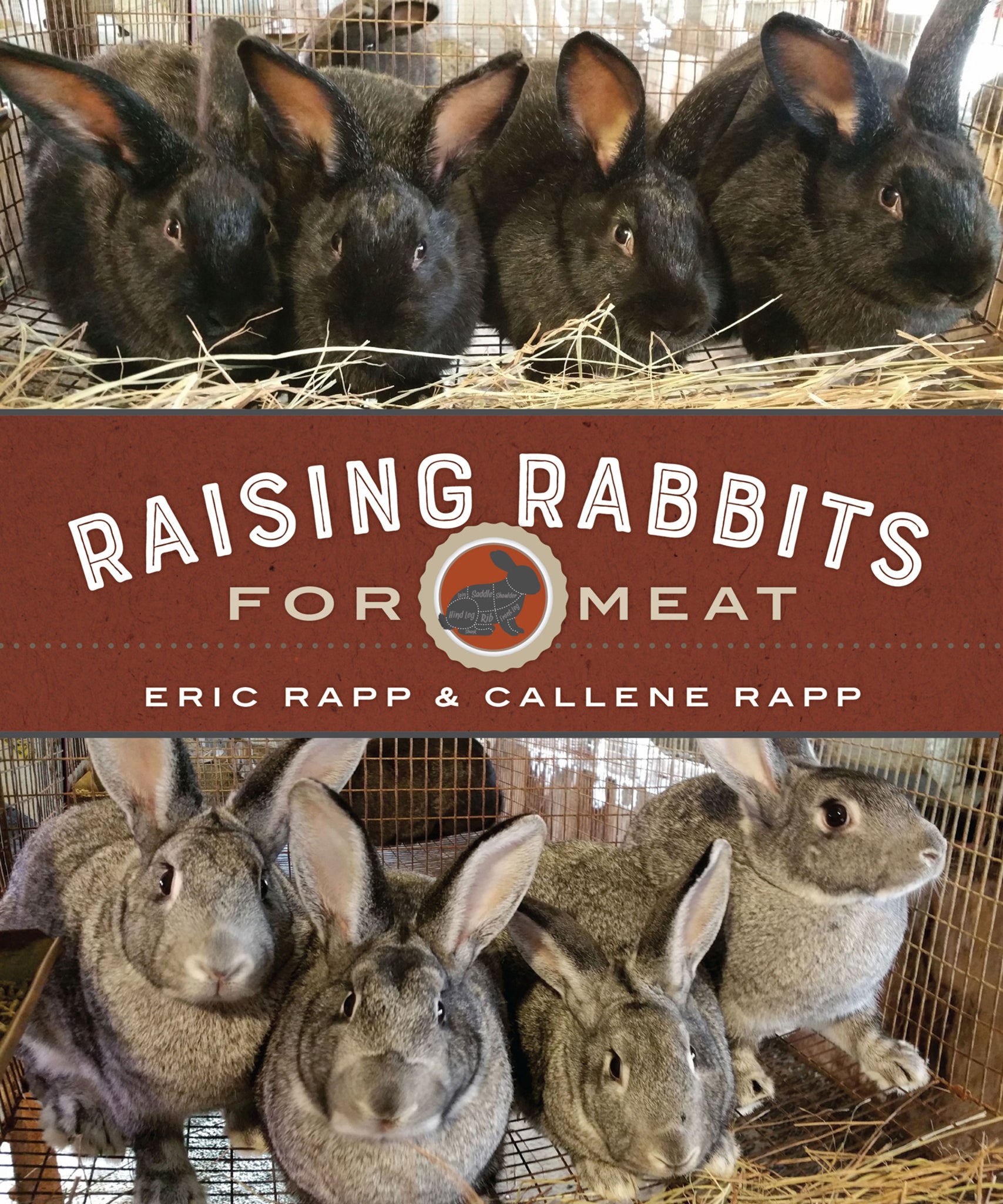 Cover image for Raising Rabbits for Meat ISBN 9780865718890