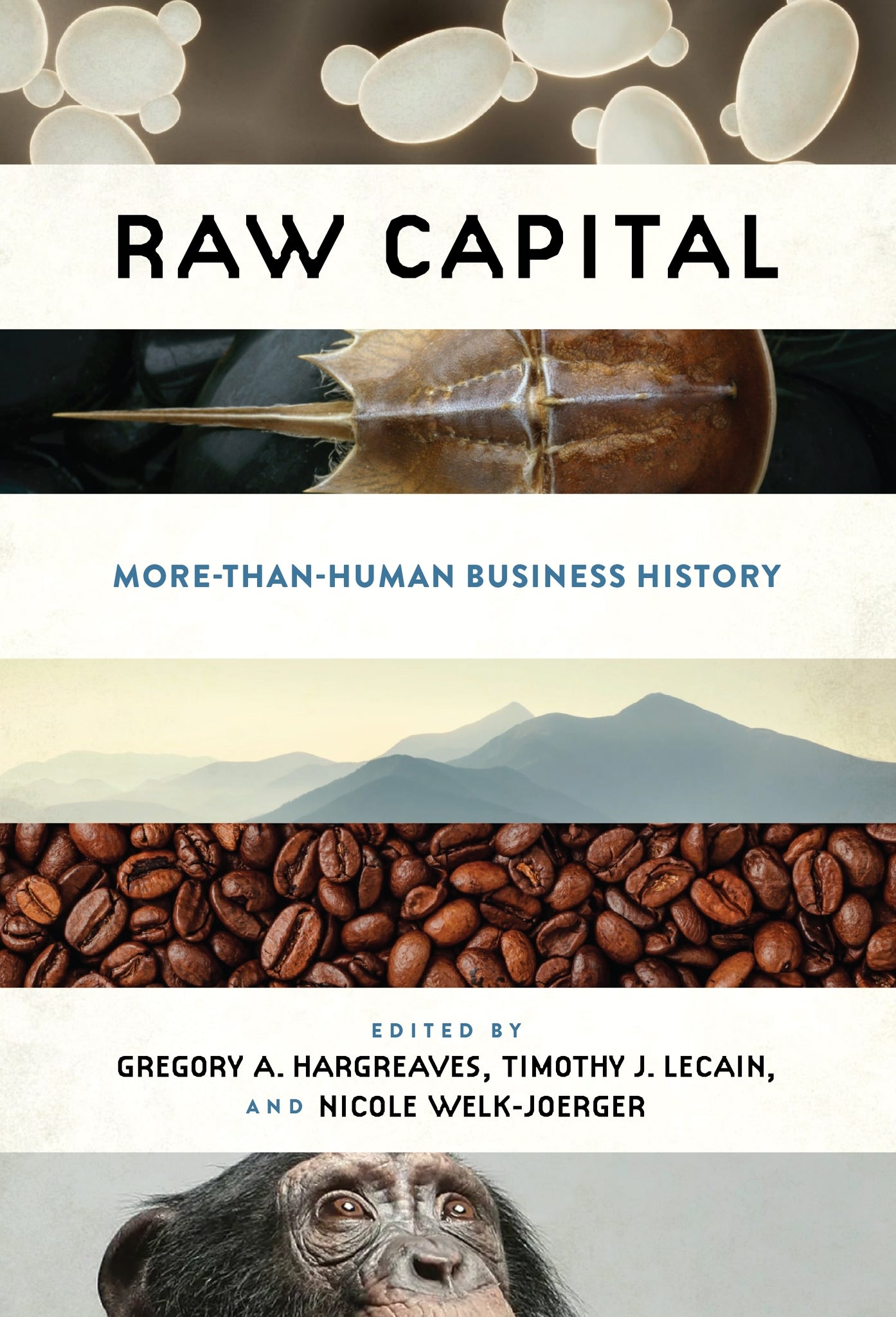 Raw Capital