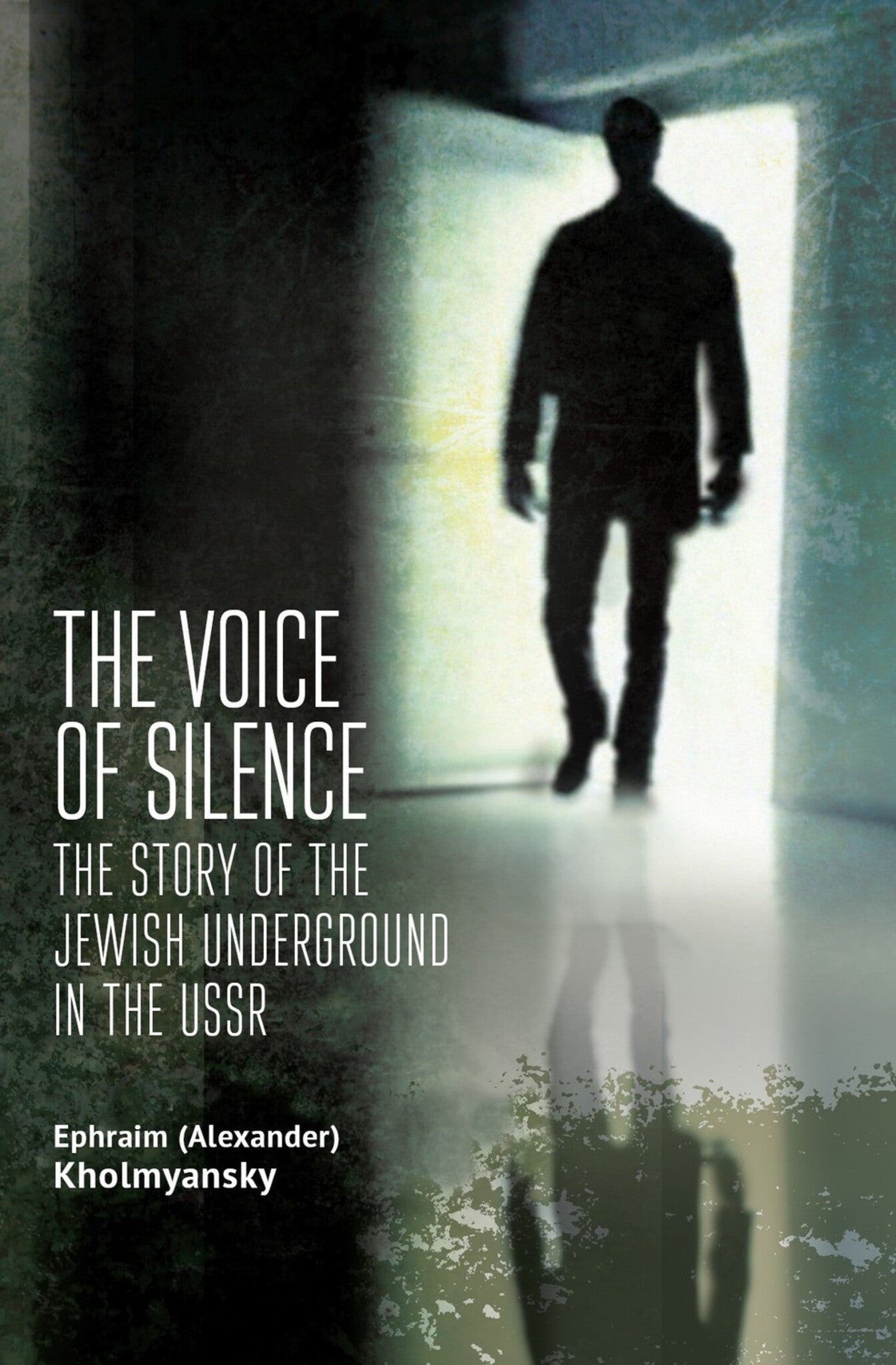 Cover image for The Voice of Silence ISBN 9781644695913