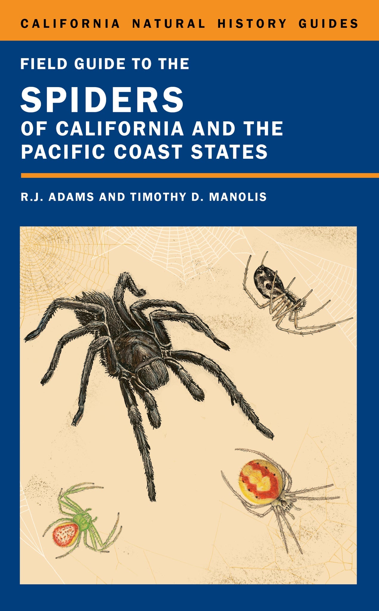 Cover image for Field Guide to the Spiders of California and the Pacific Coast States ISBN 9780520957046