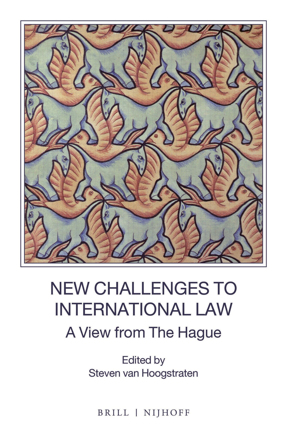 Cover image for New Challenges to International Law ISBN 9789004384286