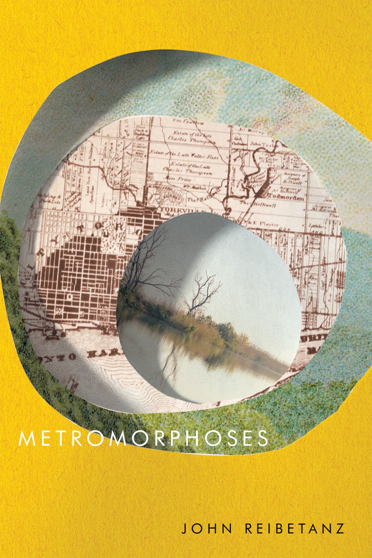 Cover image for Metromorphoses ISBN 9780228020929
