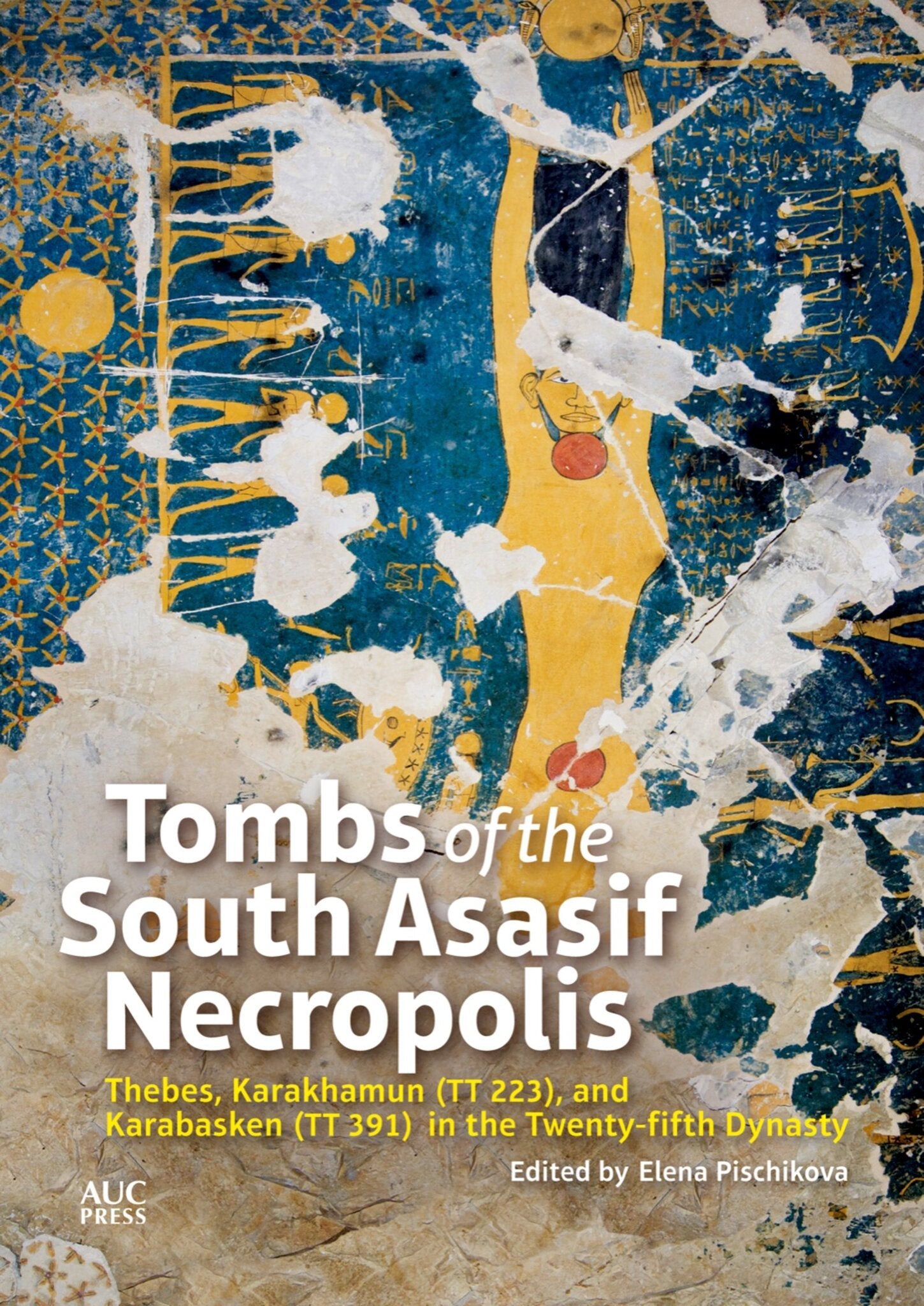 Cover image for Tombs of the South Asasif Necropolis: ISBN 9781617975783