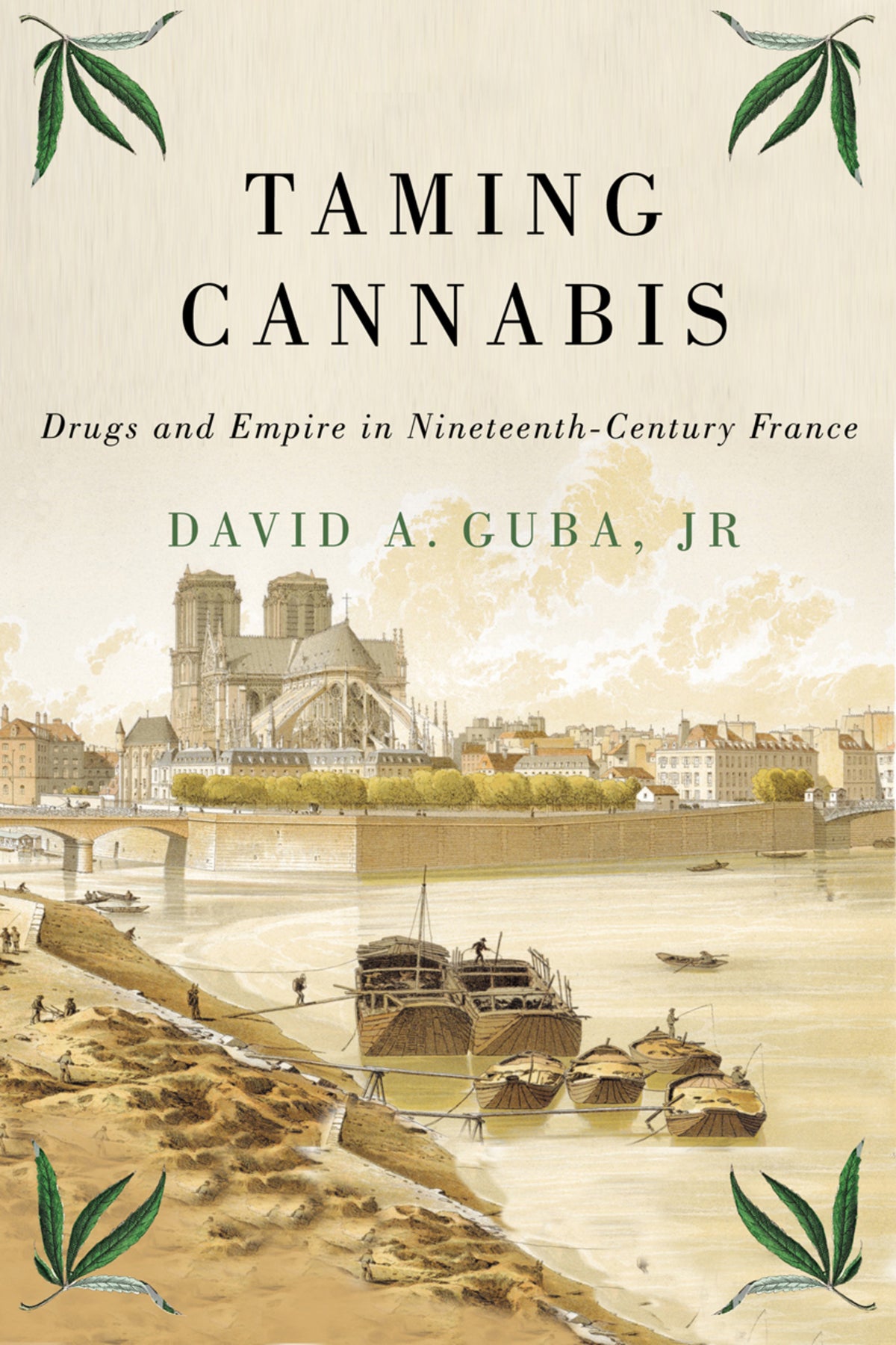 Cover image for Taming Cannabis ISBN 9780228002567