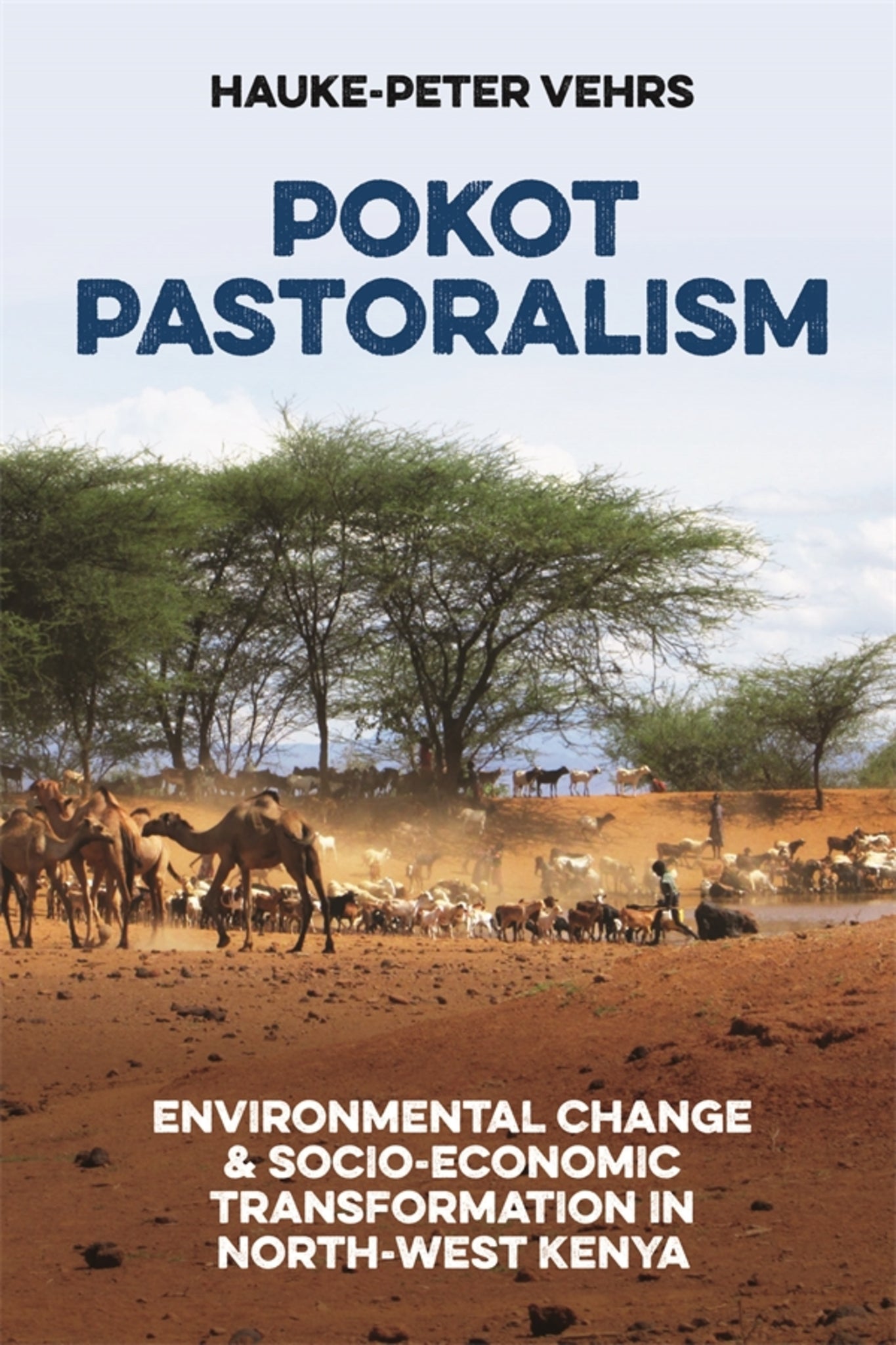 Cover image for Pokot Pastoralism ISBN 9781847013767