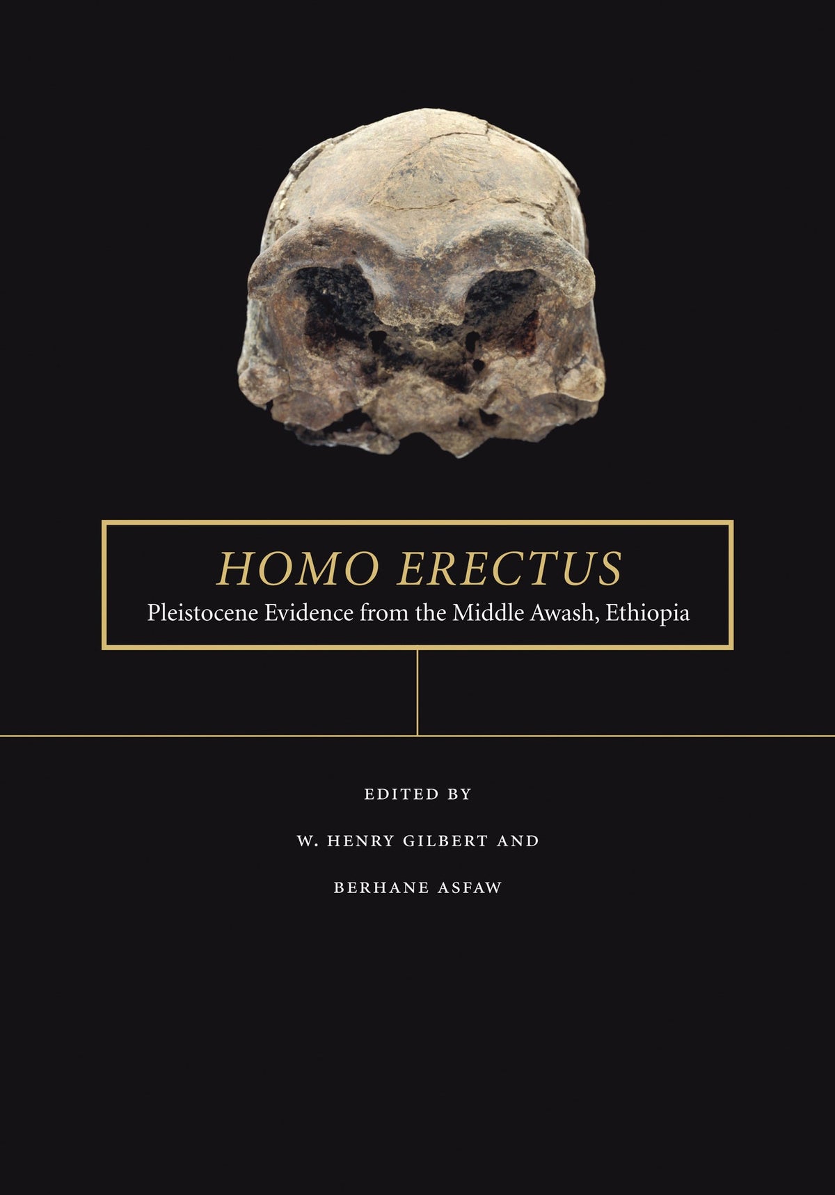Cover image for Homo erectus ISBN 9780520933774