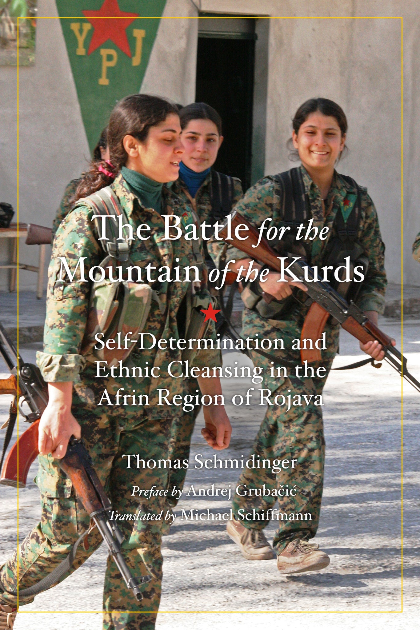 Cover image for Battle for the Mountain of the Kurds ISBN 9781629636511