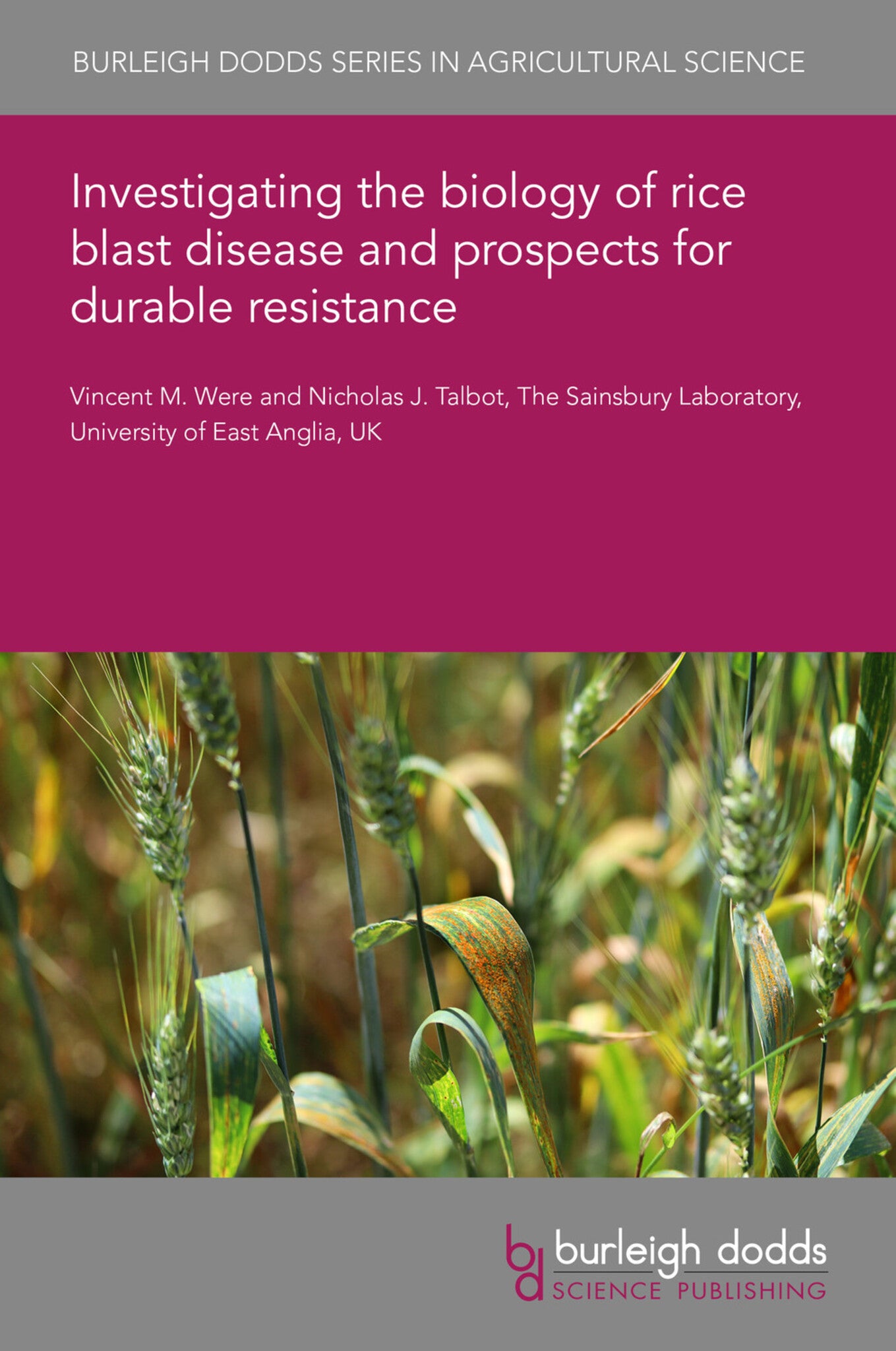 Cover image for Investigating the biology of rice blast disease and prospects for durable resistance ISBN 9781801463065