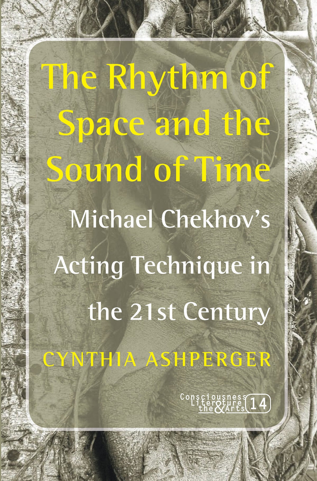 Cover image for The Rhythm of Space and the Sound of Time ISBN 9789042023871