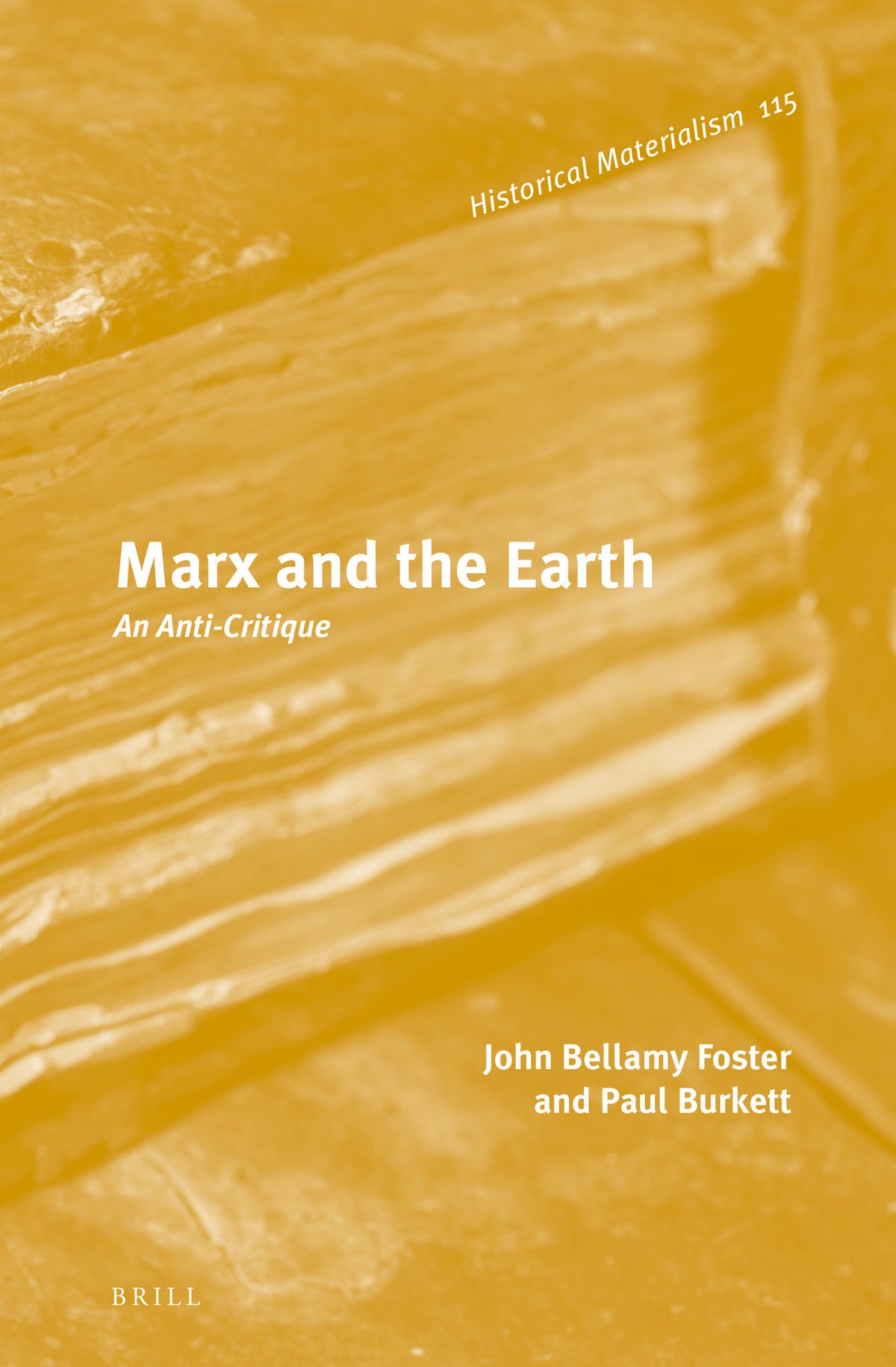 Cover image for Marx and the Earth ISBN 9789004229242