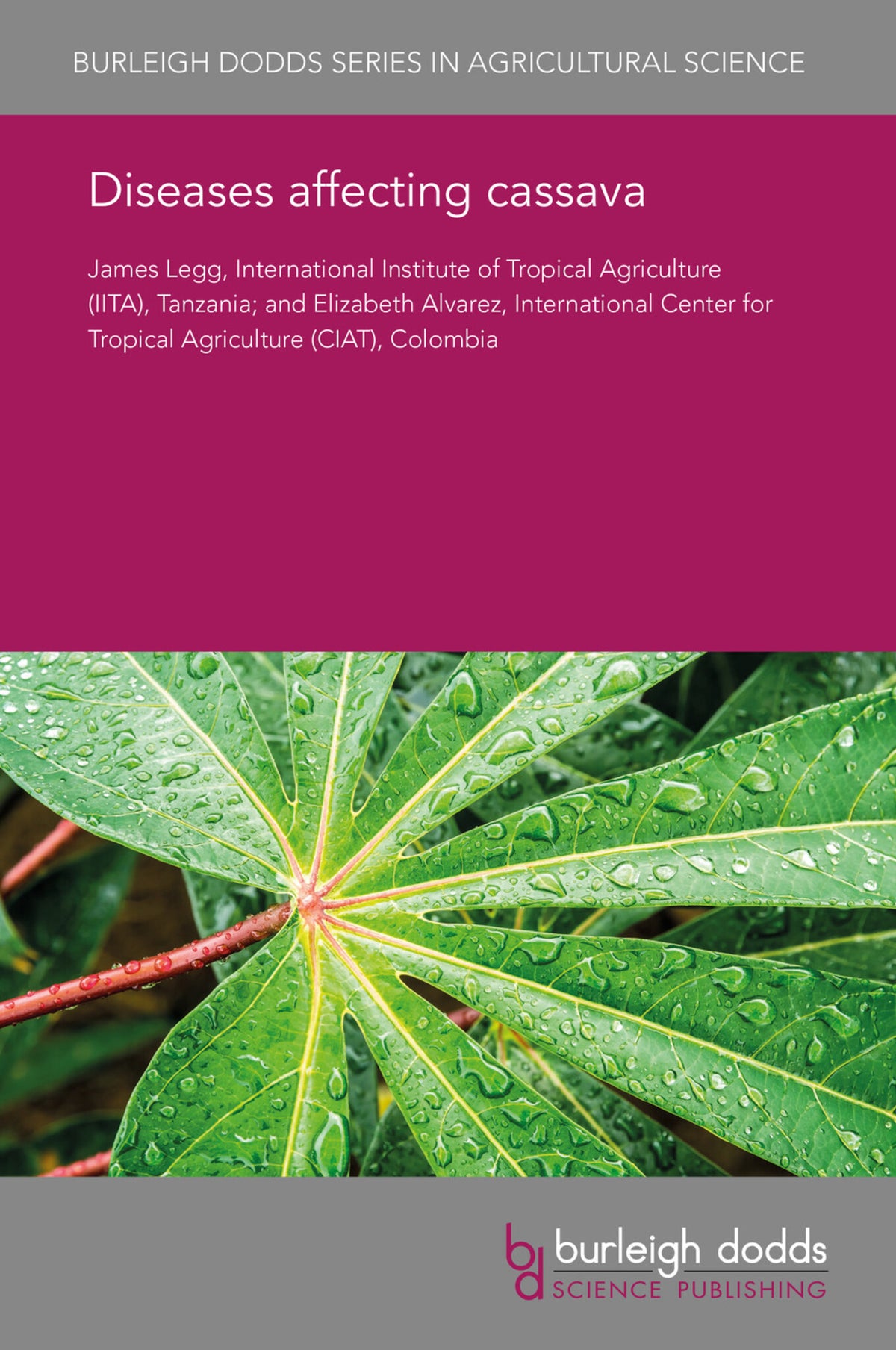 Cover image for Diseases affecting cassava ISBN 9781838790592