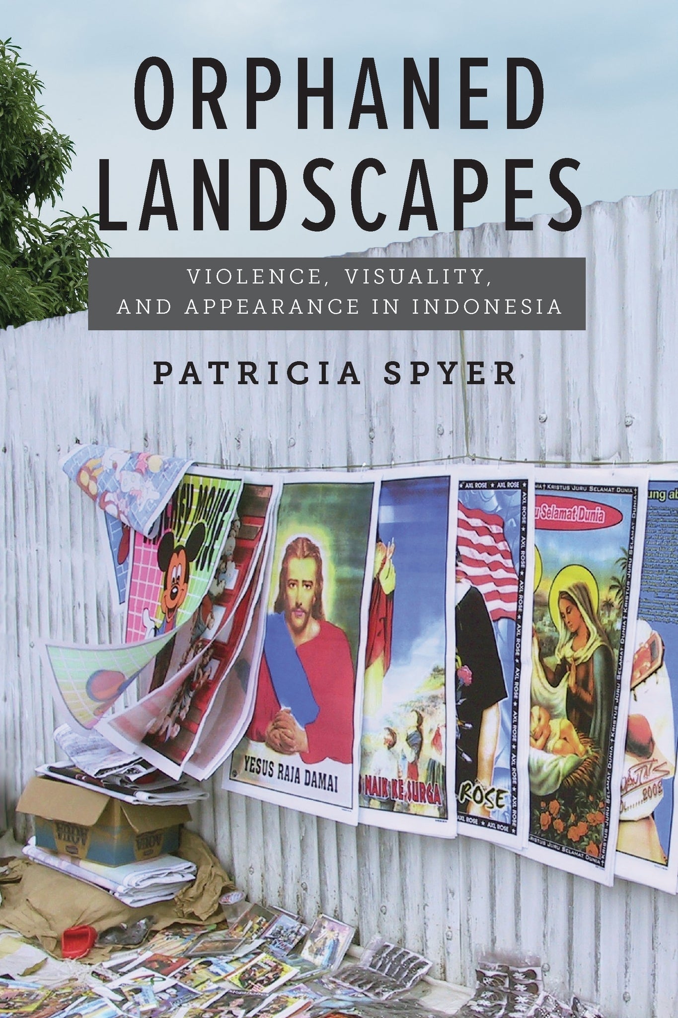 Cover image for Orphaned Landscapes ISBN 9780823298686