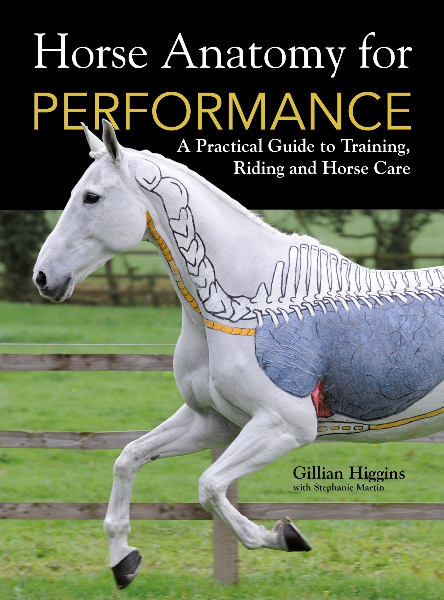 Horse Anatomy For Performance