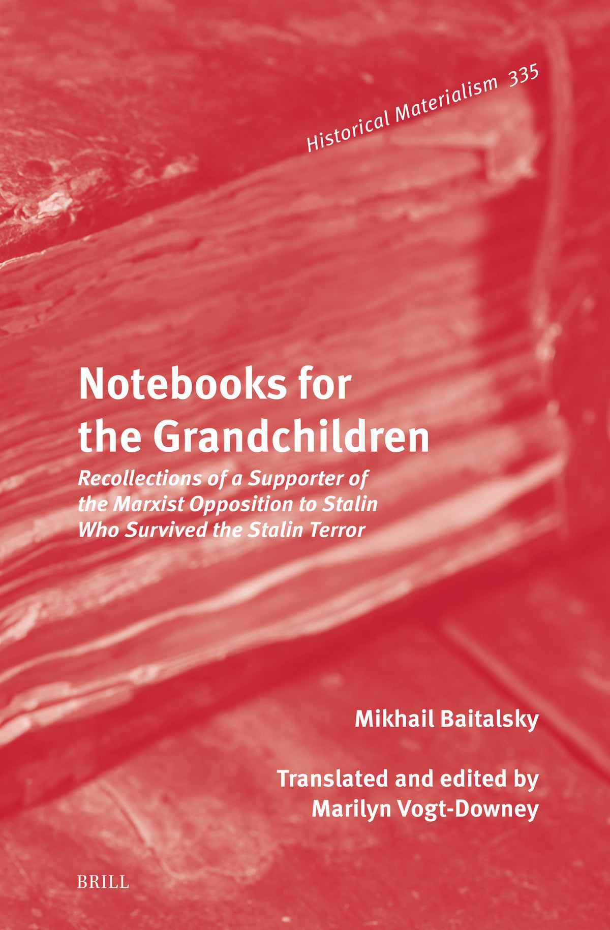 Cover image for Notebooks for the Grandchildren ISBN 9789004316096
